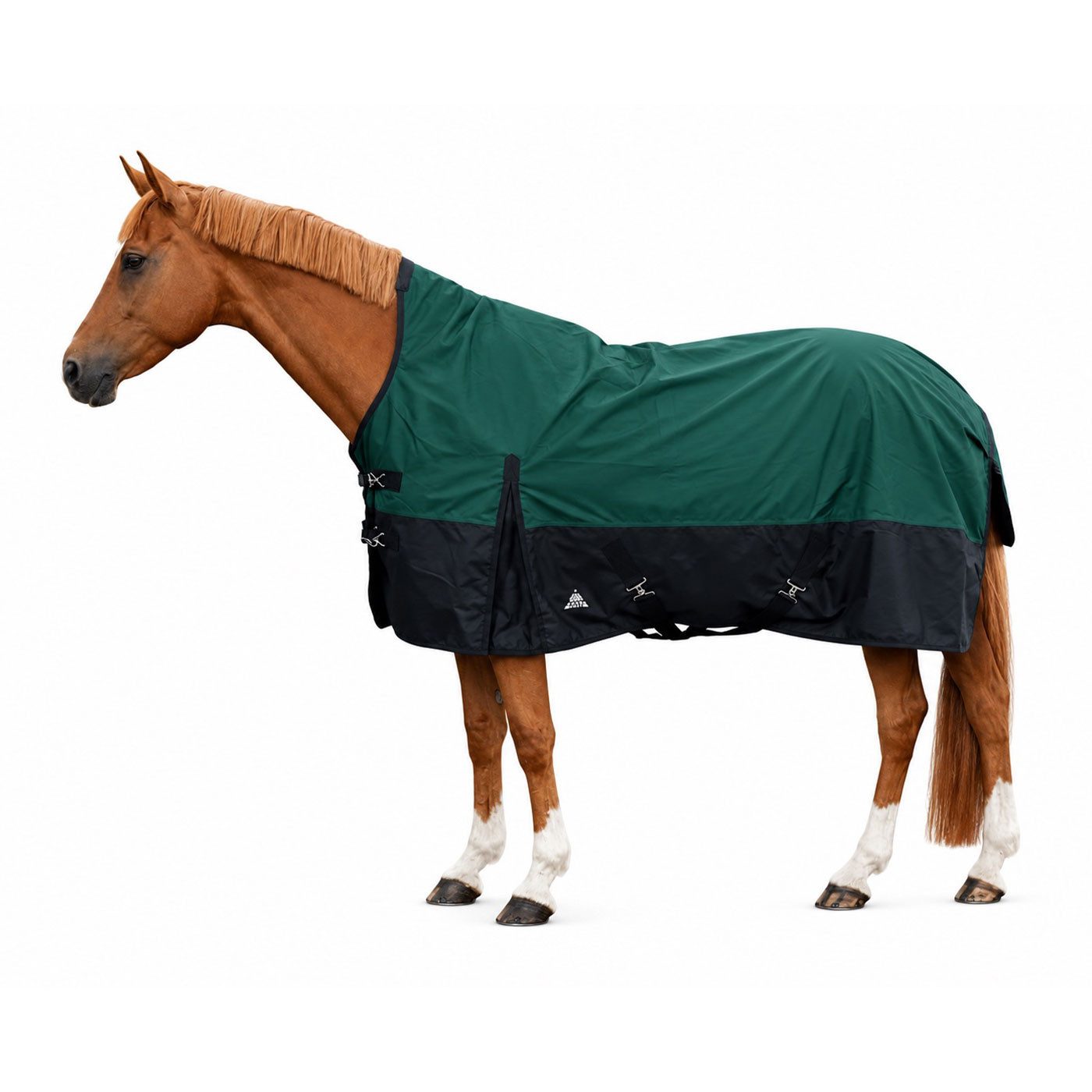 Brama-West Pferde-Übergangsdecke Outdoordecke Yeti 1200D HN 50gr Grün/Schwarz