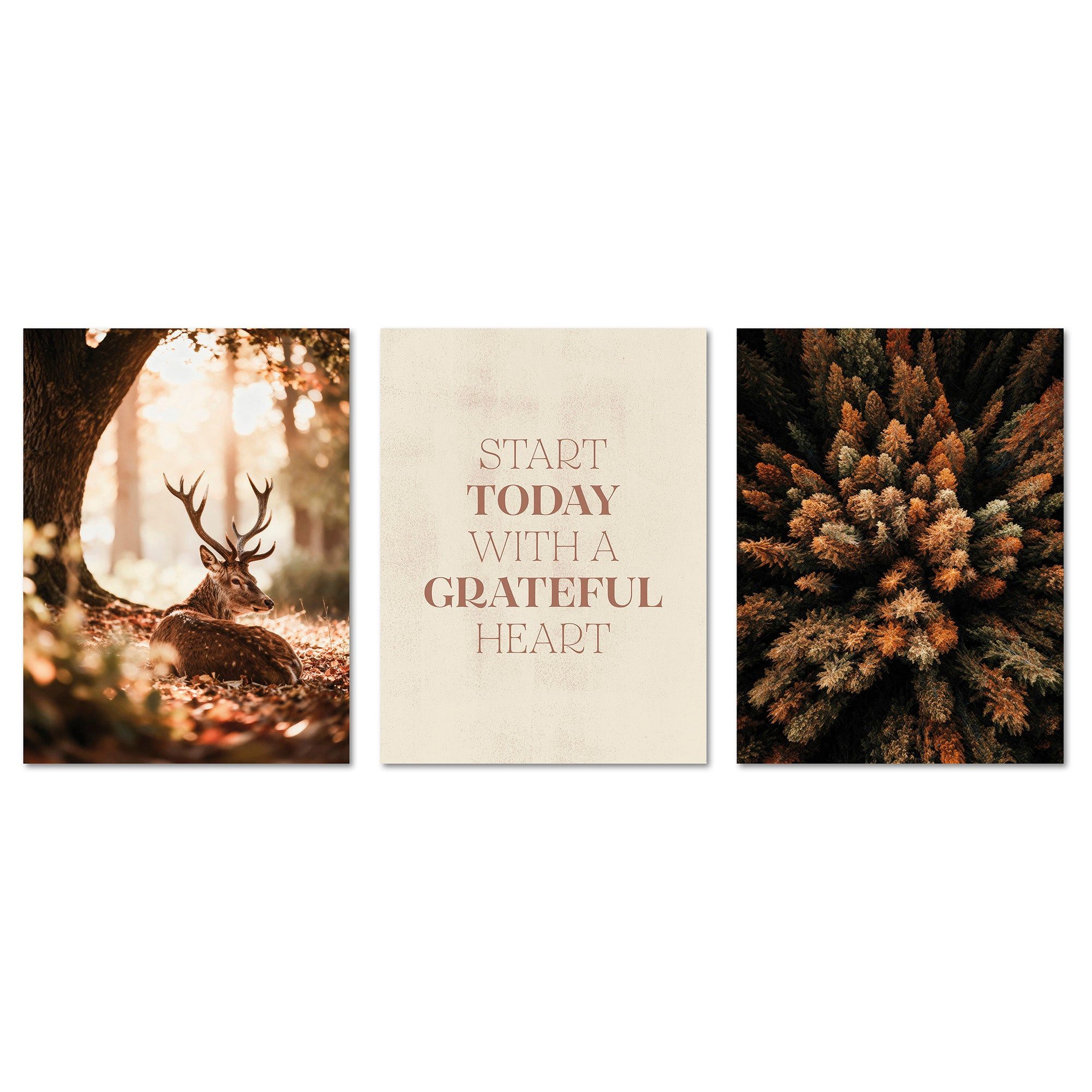 ARTFAVES Bilder-Collage Poster Set Herbst Wald I mehrteilige Bilderwand I Wandbilder Herbst, (Wandbilder modern, 3 St)