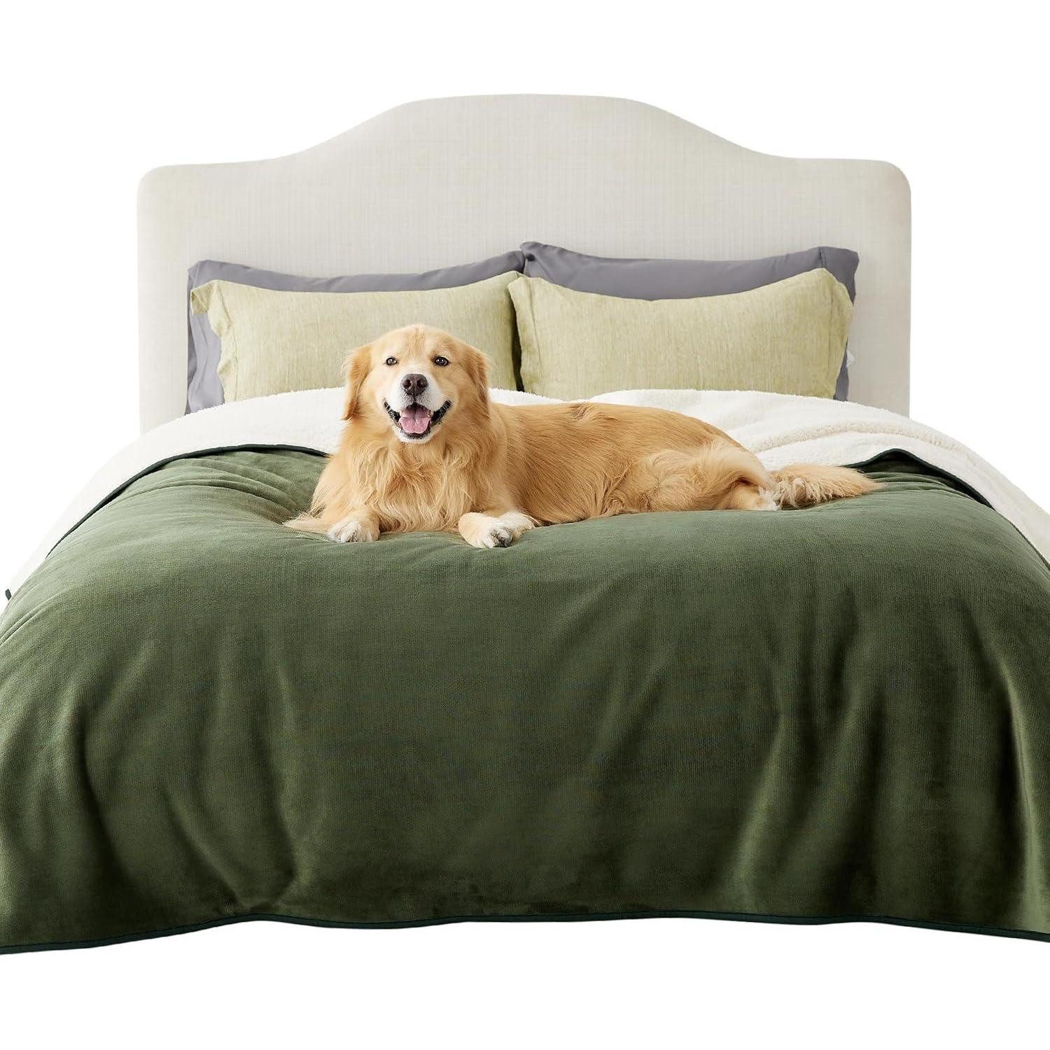 LuxusKollektion Tierdecke Hundedecke wasserdichte 229x218cm waschbar XXXL (229x218cm) Olivgrün