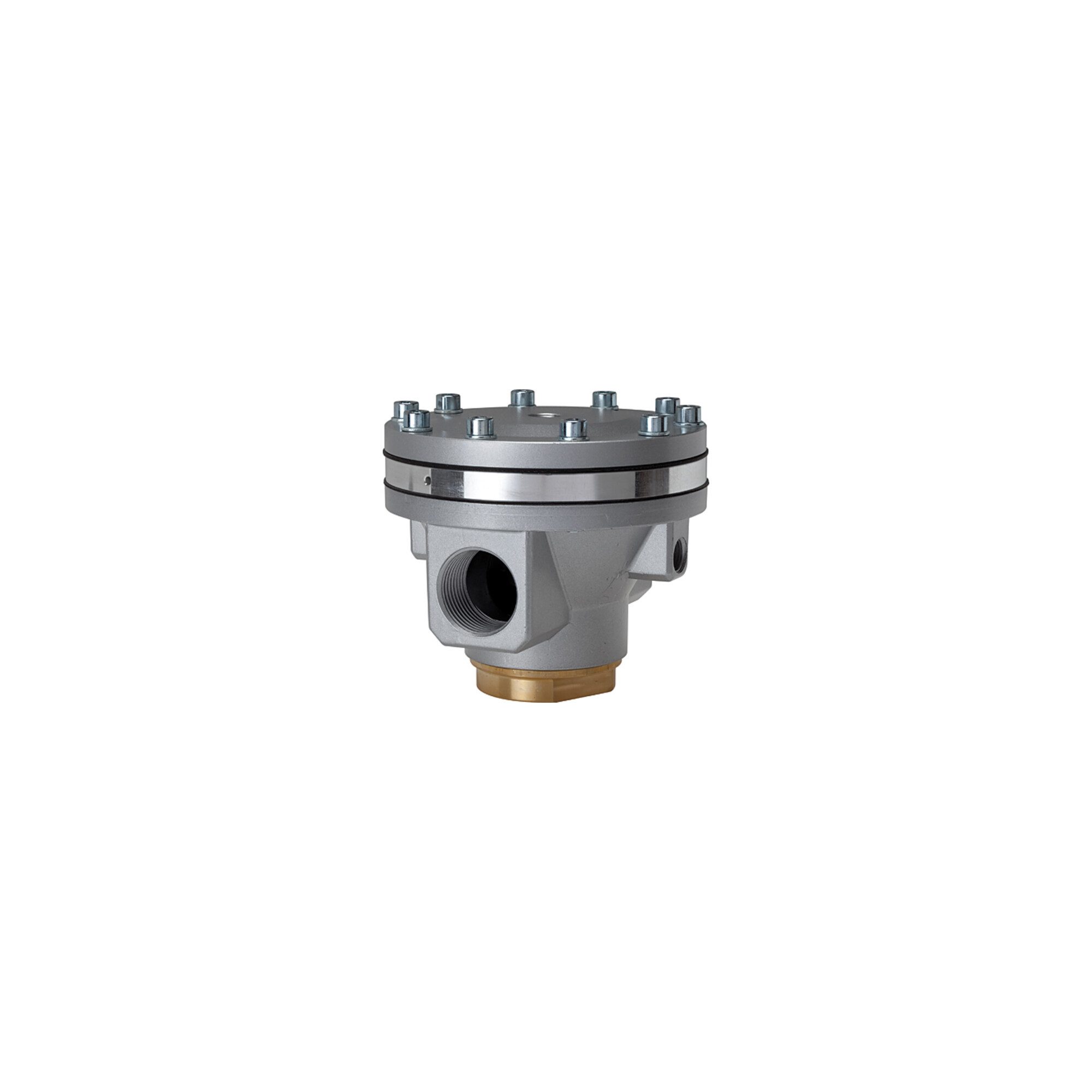 RIEGLER Druckregler Riegler Druckregler pneumatisch ferngesteuert »Standard«, G 2