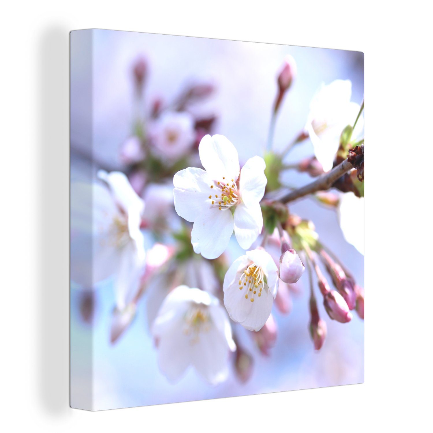 OneMillionCanvasses® Leinwandbild Blumen - Sakura - Zweig, (1 St), Leinwand Bilder für Wohnzimmer Schlafzimmer