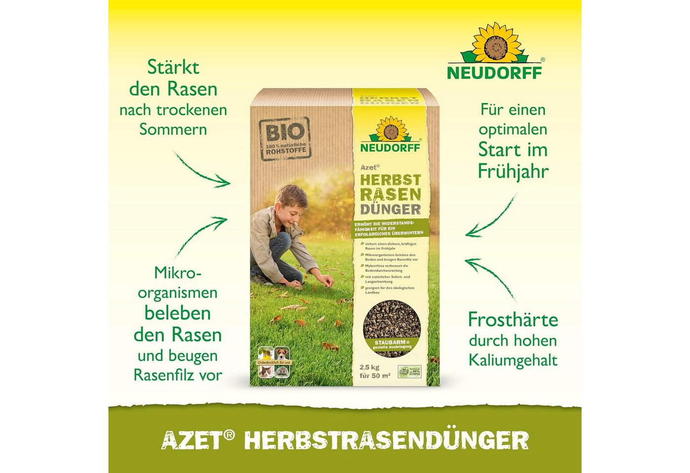 Thumbnail - Neudorff Rasendünger Bio Azet HerbstRasenDünger 2,5 kg, sorgt für einen dichten, kräftigen Rasen im Frühjahr, Mikroorgan...