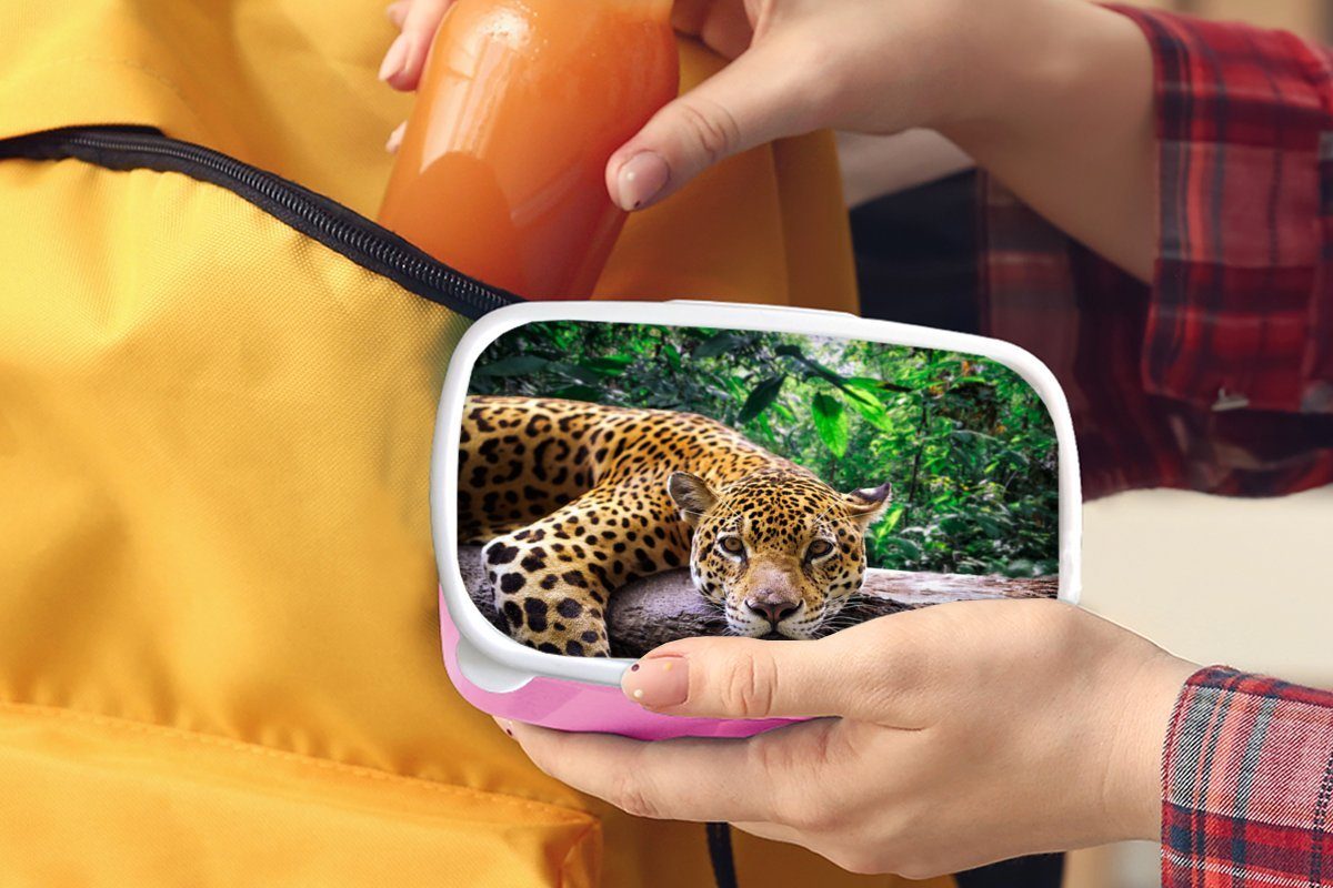 MuchoWow Lunchbox Jaguar ruht, Kunststoff, Brotdose Kinder, Mädchen, Erwachsene, Brotbox (2-tlg), rosa Kunststoff Snackbox, für