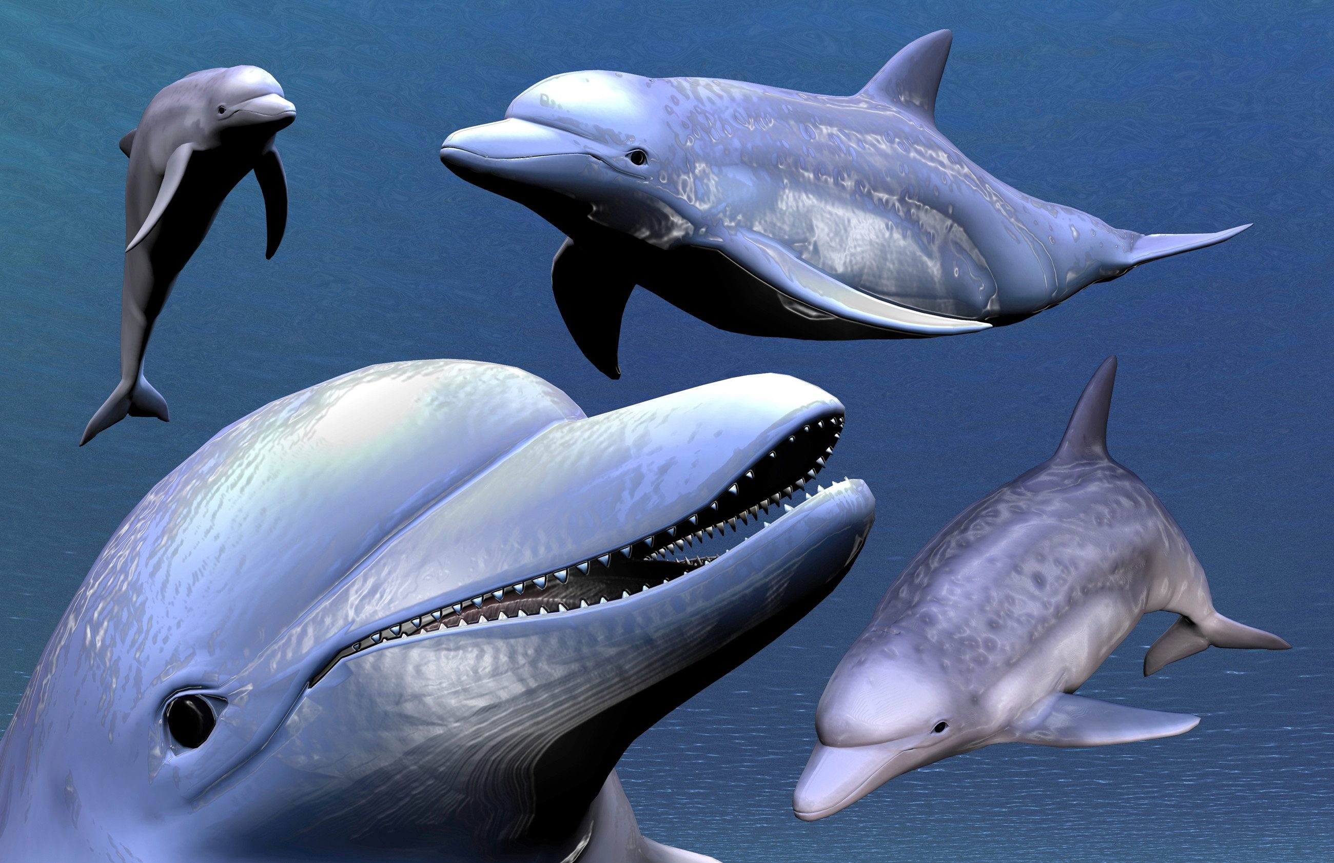 Fototapete DELFINE-ZAHNWAL TIER SEE OZEAN MEER WASSER WALE ORCA