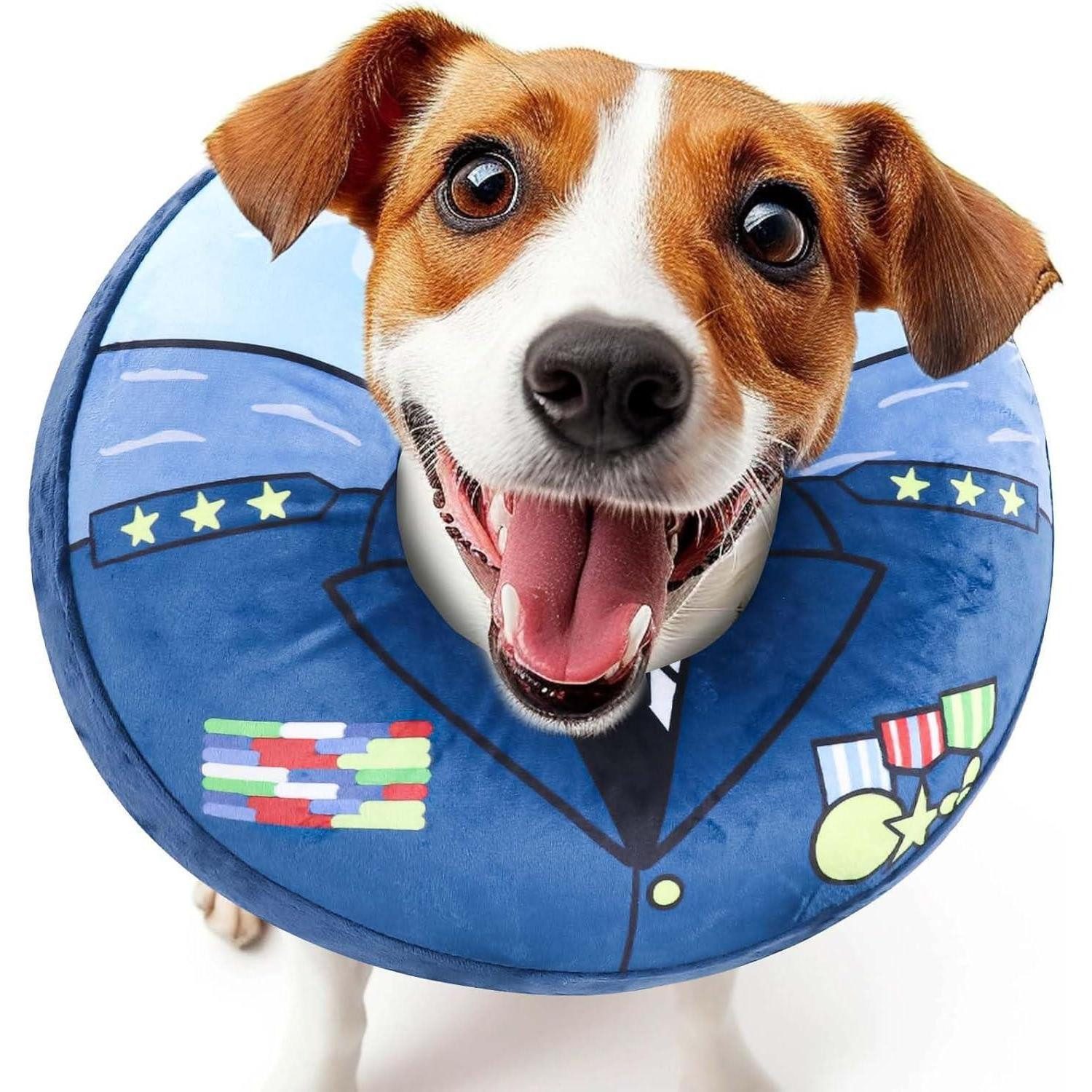 LuxusKollektion Schutzkragen Halskrause Hund Katzen Leckschutz Einstellbar XL, Textil