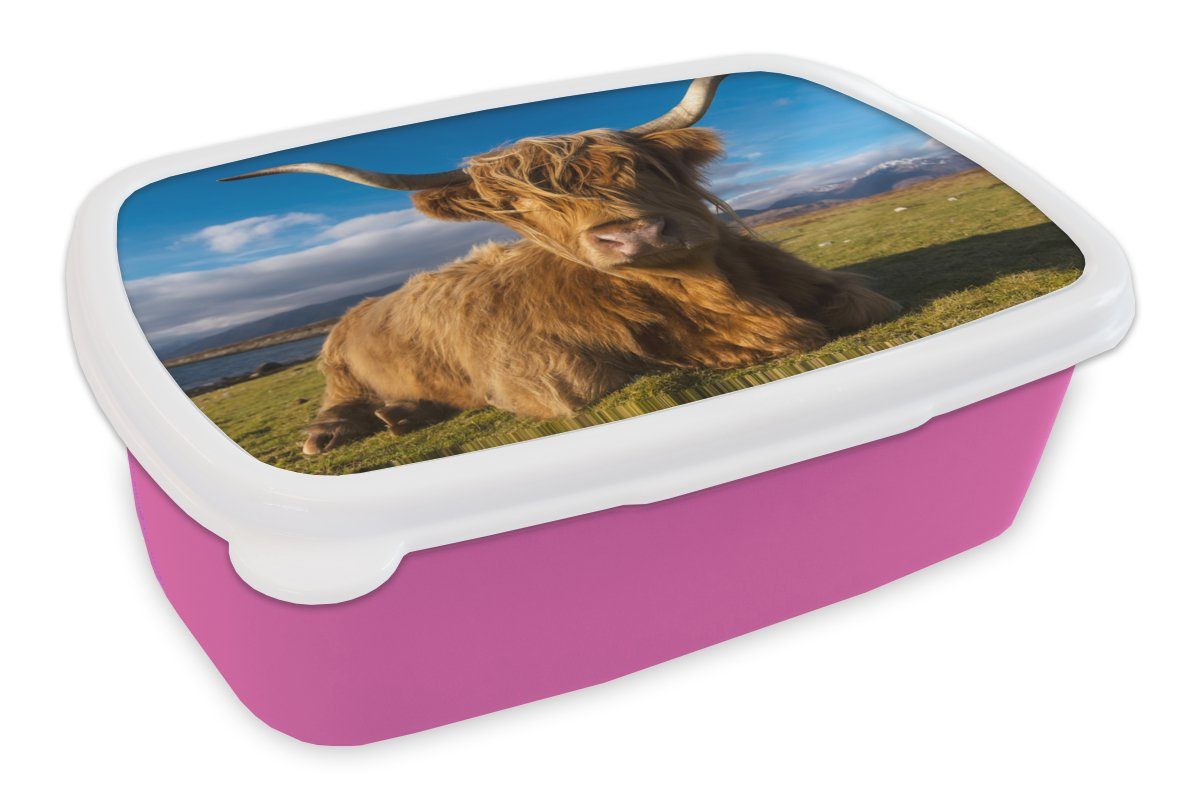 MuchoWow Lunchbox Schottische Highlander - Licht - Natur, Kunststoff, (2-tlg), Brotbox für Erwachsene, Brotdose Kinder, Snackbox, Mädchen, Kunststoff rosa