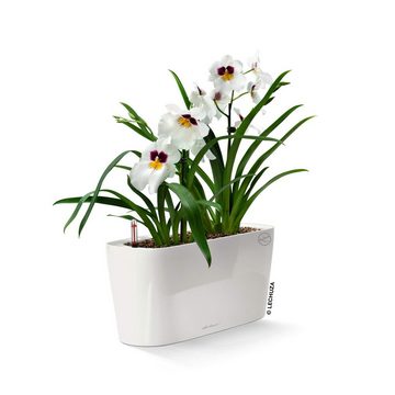 Lechuza® Blumentopf Delta 20 - weiß hochglanz mit Wasserspeicher (1 St)