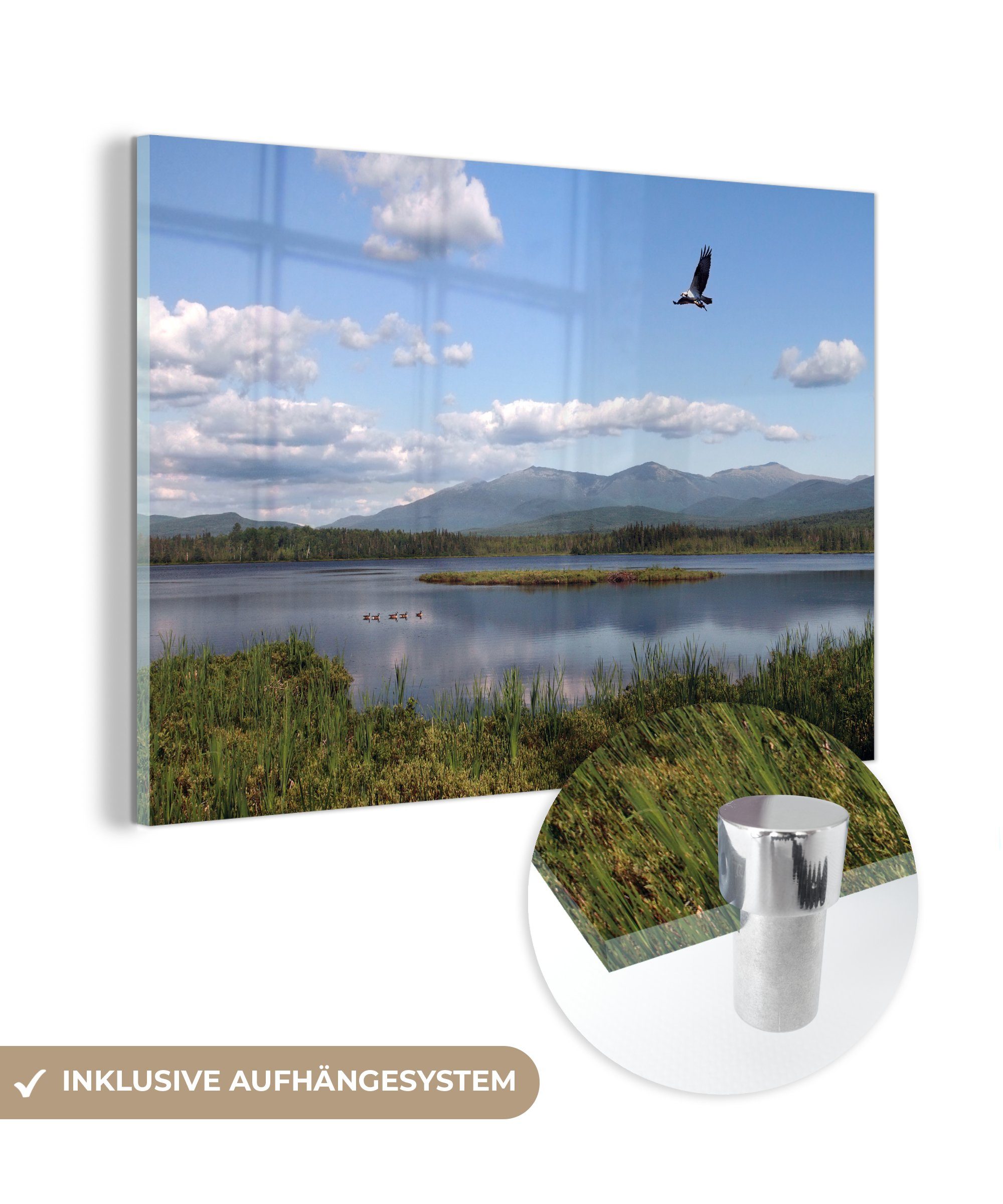 MuchoWow Acrylglasbild Vogel mit Beute über einem See in New Hampshire, (1 St), Acrylglasbilder Wohnzimmer & Schlafzimmer | Bilder