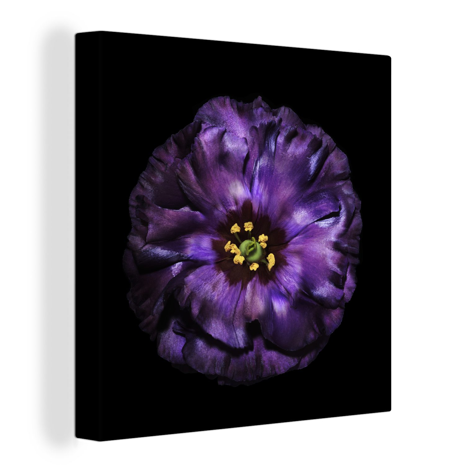 Schlafzimmer schwarzem violette Eine Hintergrund abgebildet, Bilder OneMillionCanvasses® Leinwand St), Blume Wohnzimmer (1 vor für Leinwandbild