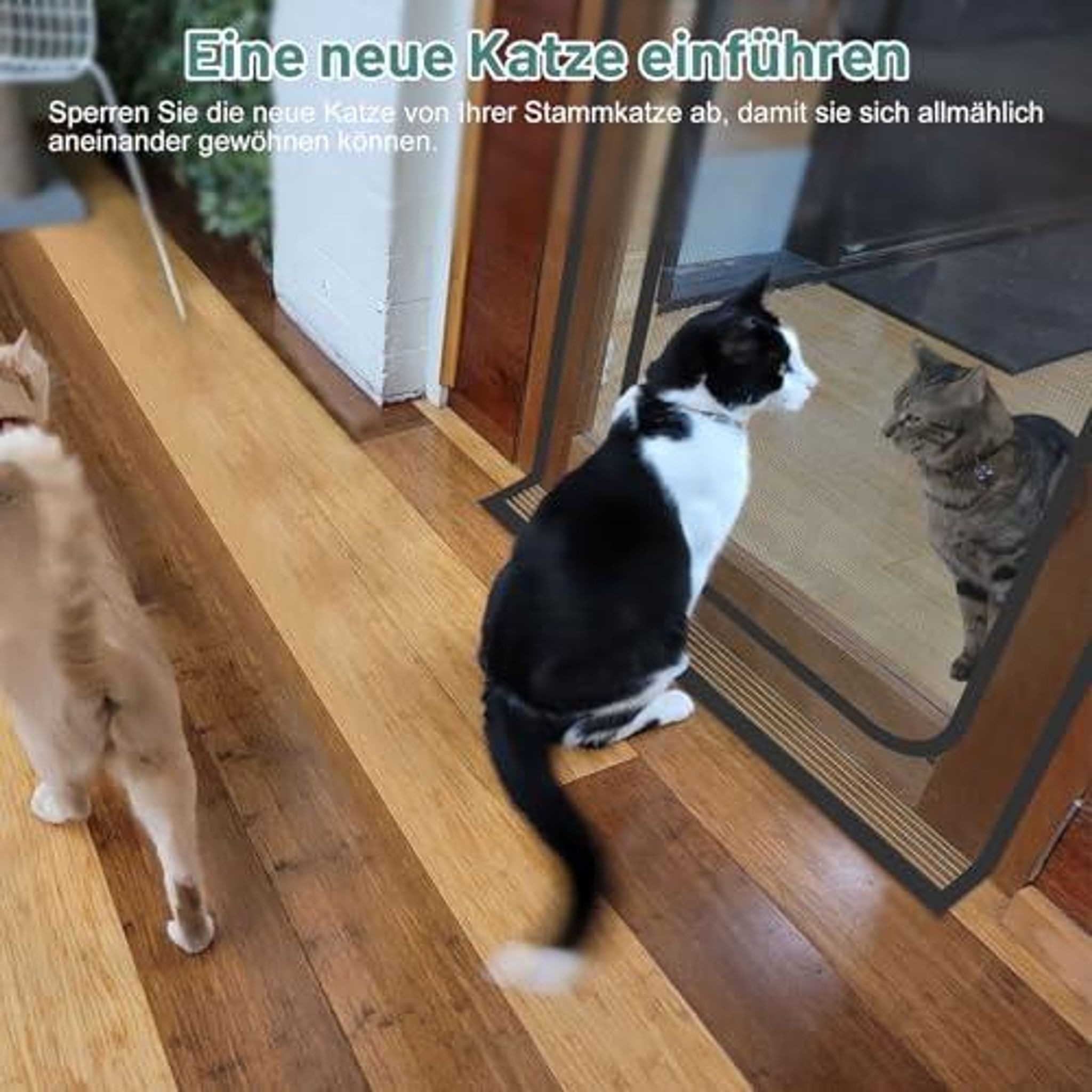 FELIXLEO Insektenschutz-Schiebetür Katzengittertür Reißverschluss Kratzfest Schwarz für Tür 120x240cm