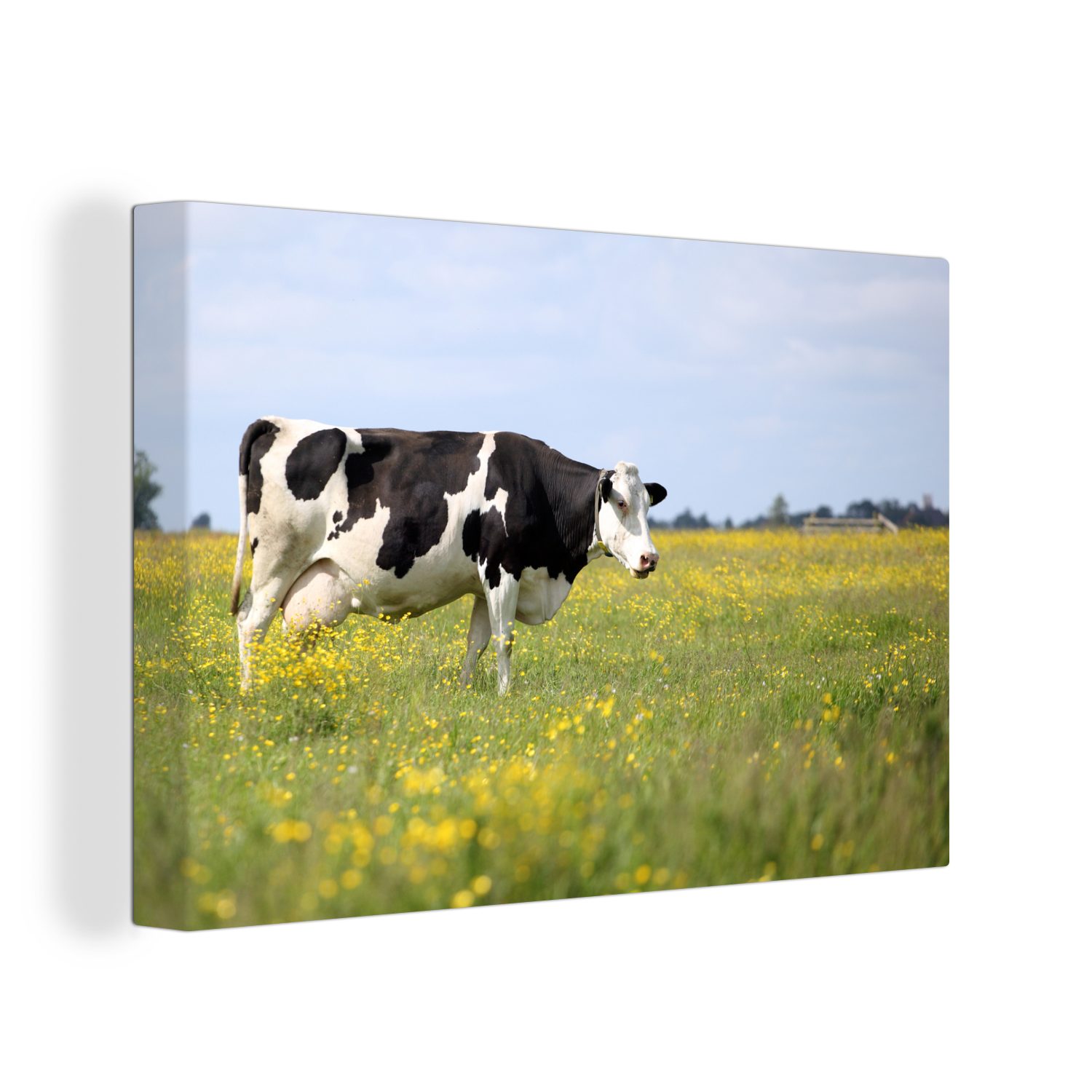 Leinwandbilder, St), - Blumen, Aufhängefertig, OneMillionCanvasses® (1 Wanddeko, Kuh - cm Wandbild Leinwandbild Gras 30x20