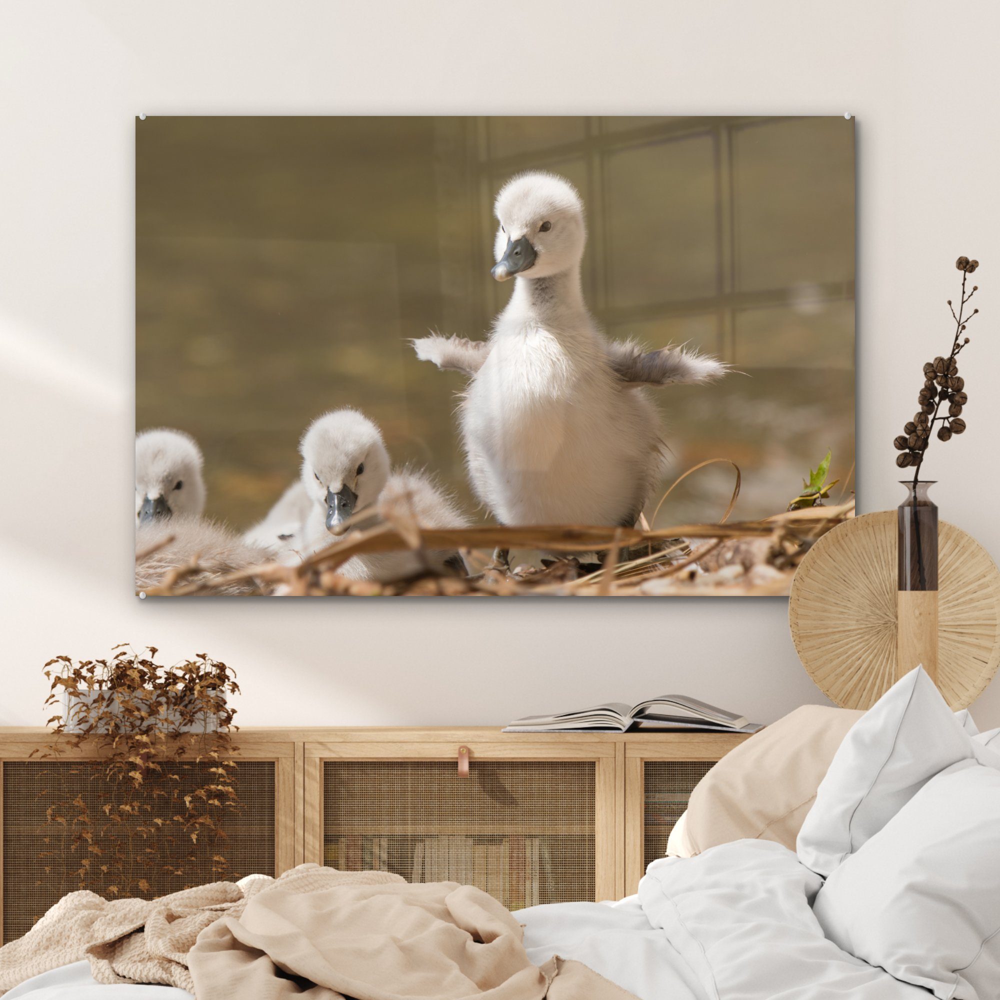 MuchoWow Acrylglasbild & Nest - Schwan Acrylglasbilder - (1 Küken, Baby - Schlafzimmer Wohnzimmer St)