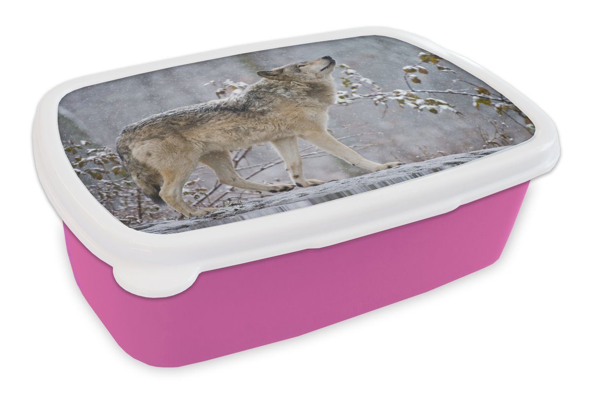 MuchoWow Lunchbox Wolf - Schnee - Winter, Kunststoff, (2-tlg), Brotbox für Erwachsene, Brotdose Kinder, Snackbox, Mädchen, Kunststoff rosa