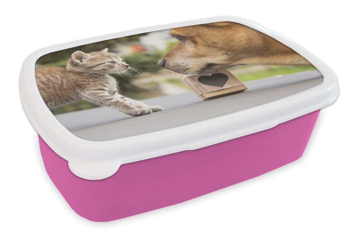 MuchoWow Lunchbox Hund - Katze - Makro, Kunststoff, (2-tlg), Brotbox für Erwachsene, Brotdose Kinder, Snackbox, Mädchen, Kunststoff rosa