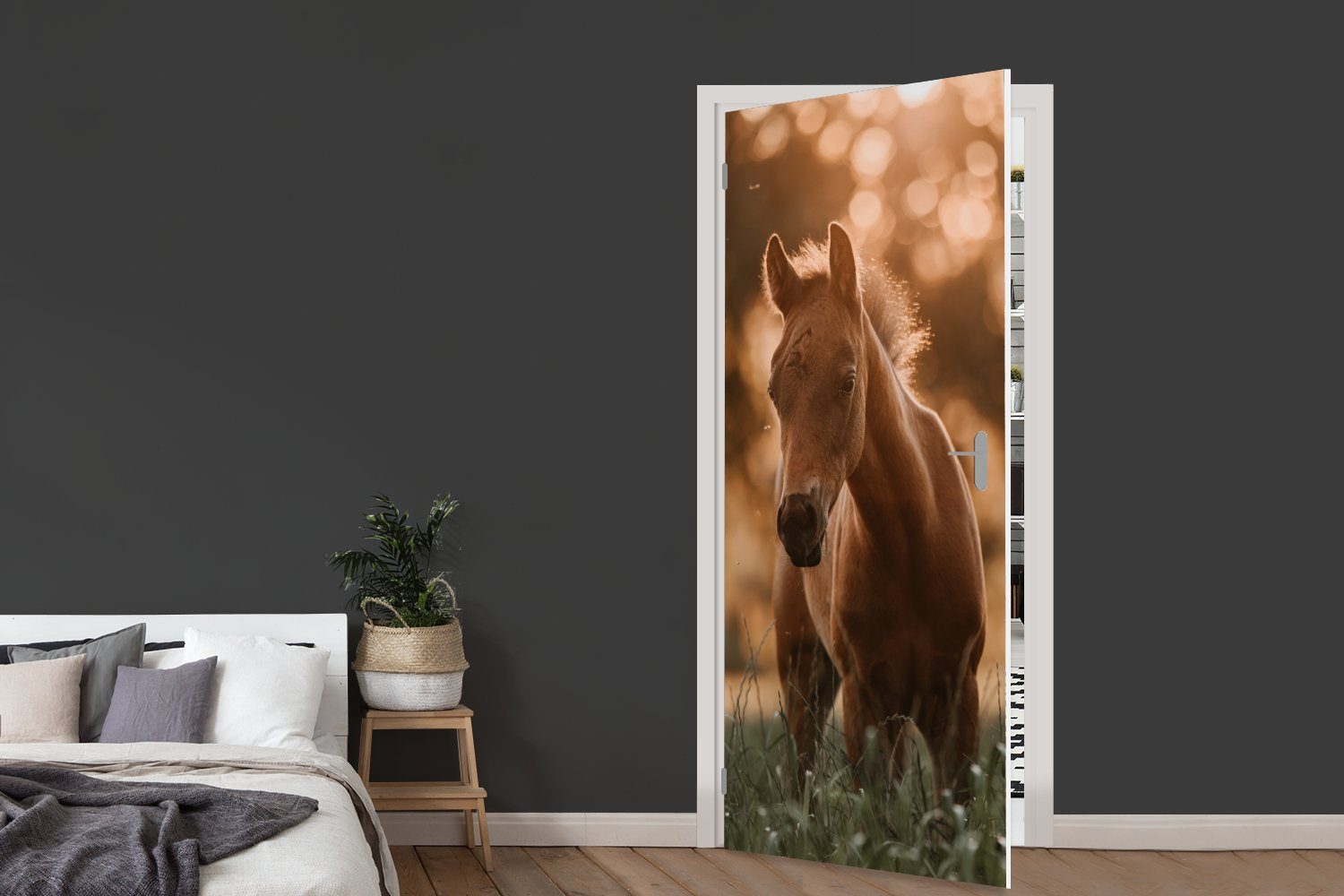 MuchoWow Türtapete Pferd cm (1 für Tür, bedruckt, Matt, Licht - - 75x205 Fototapete Landschaft, St), Türaufkleber