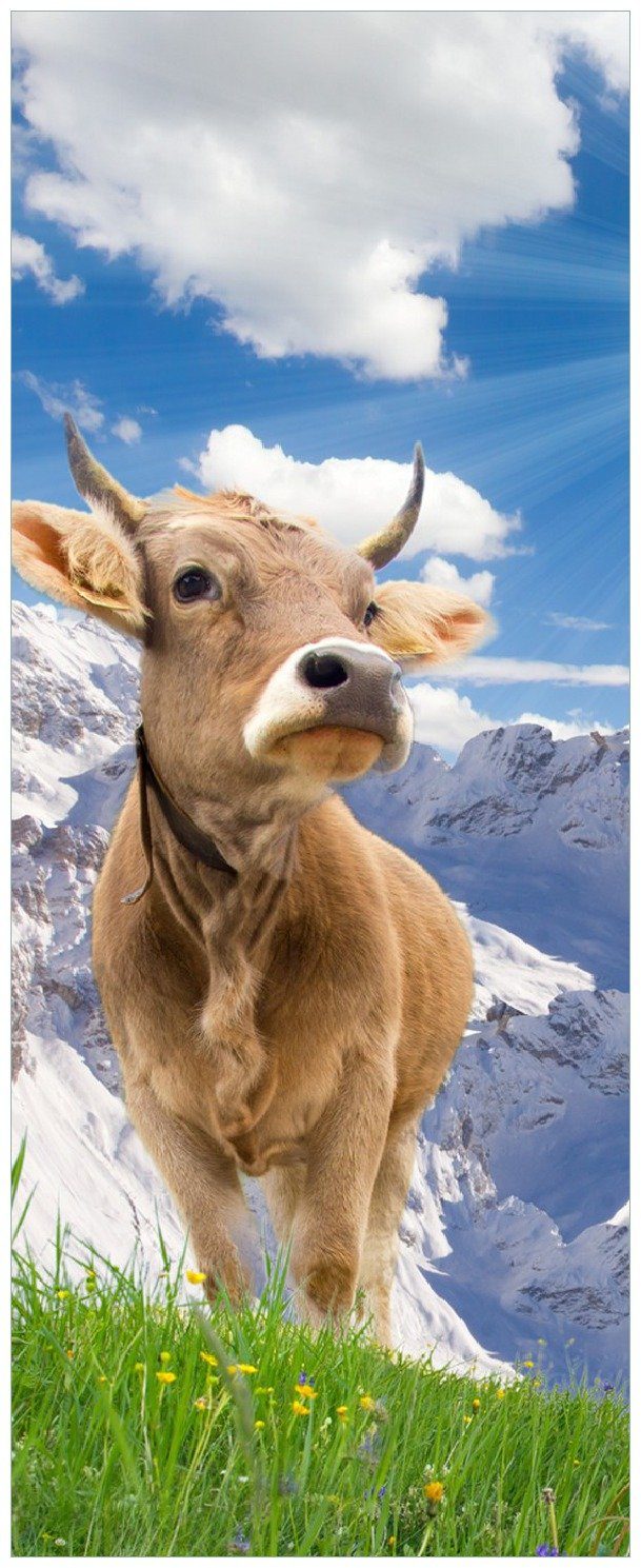 Wallario in Memoboard im den Kuh Alpen Sonnenschein