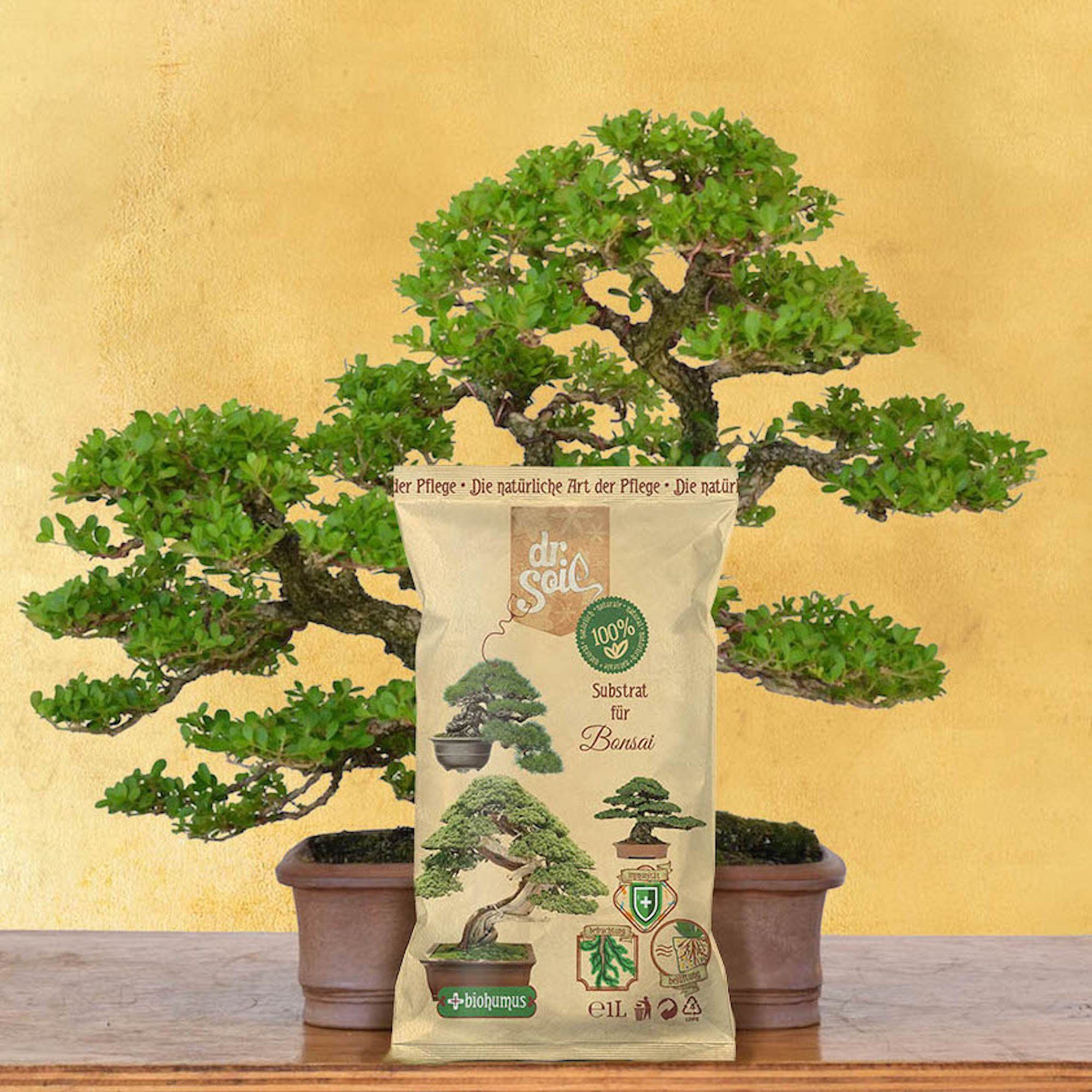 dr. Soil Bio-Erde Substrat für Bonsai, 1 liter beutel – Bild 4 von 5