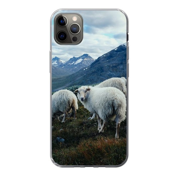 MuchoWow Handyhülle Schafe - Natur - Berge Handyhülle Apple iPhone 12 Pro Max Smartphone-Bumper Print Handy