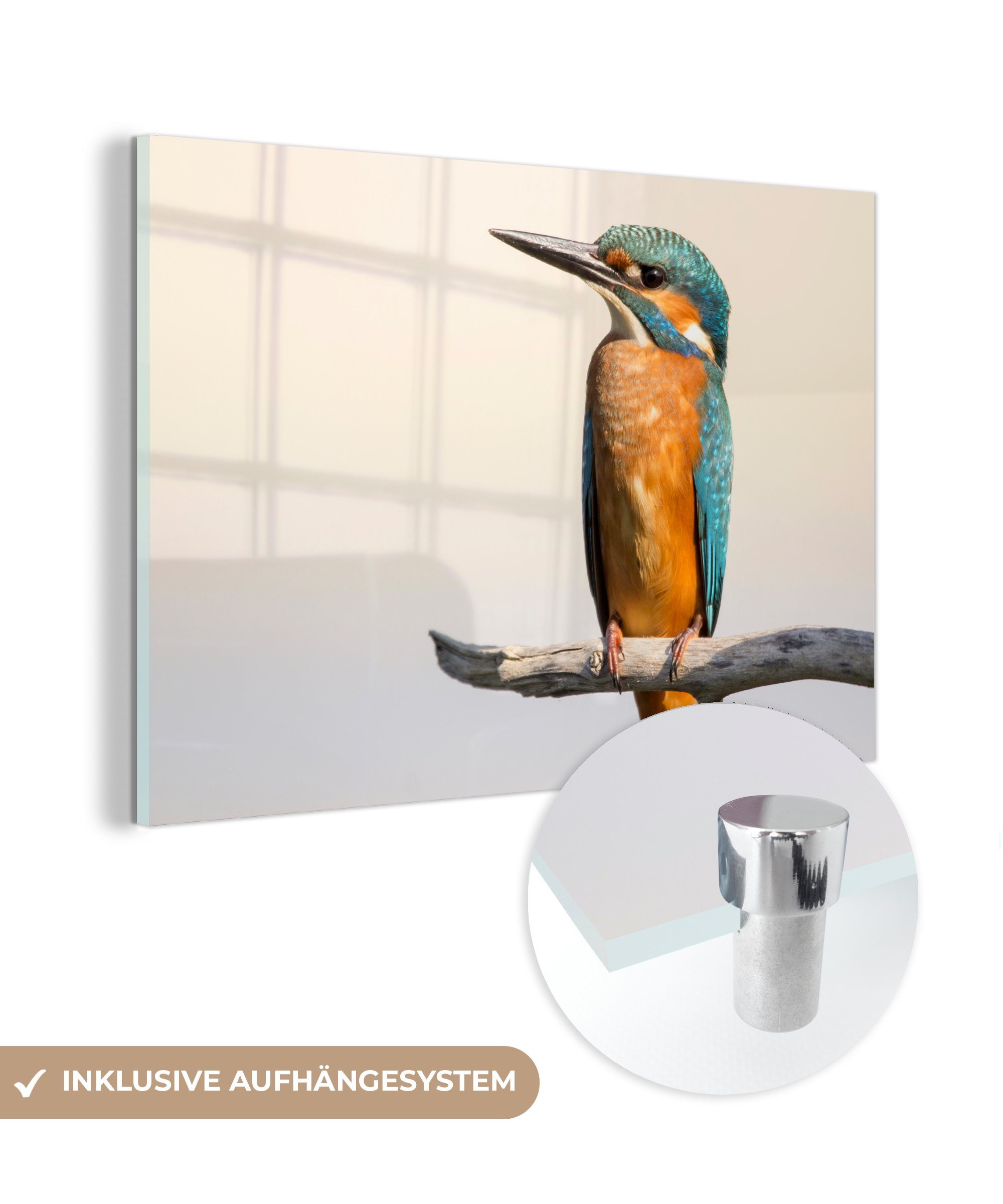 MuchoWow Acrylglasbild Eisvogel - Zweige - Tiere, (1 St), Acrylglasbilder Wohnzimmer & Schlafzimmer