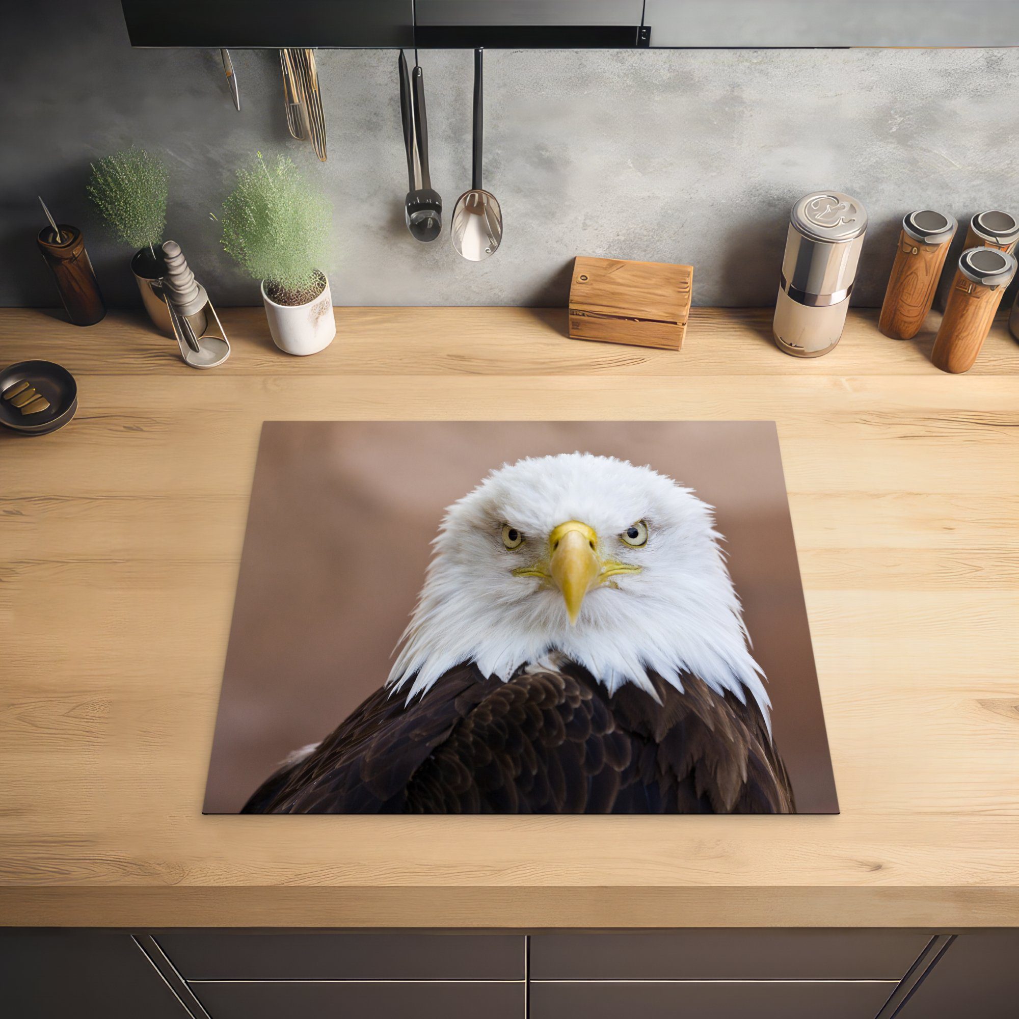 tlg), Weißkopfseeadler Ceranfeldabdeckung Vinyl, Mobile Kamera, schaut in Arbeitsfläche MuchoWow direkt Amerikanischer cm, nutzbar, die Herdblende-/Abdeckplatte 60x52 (1