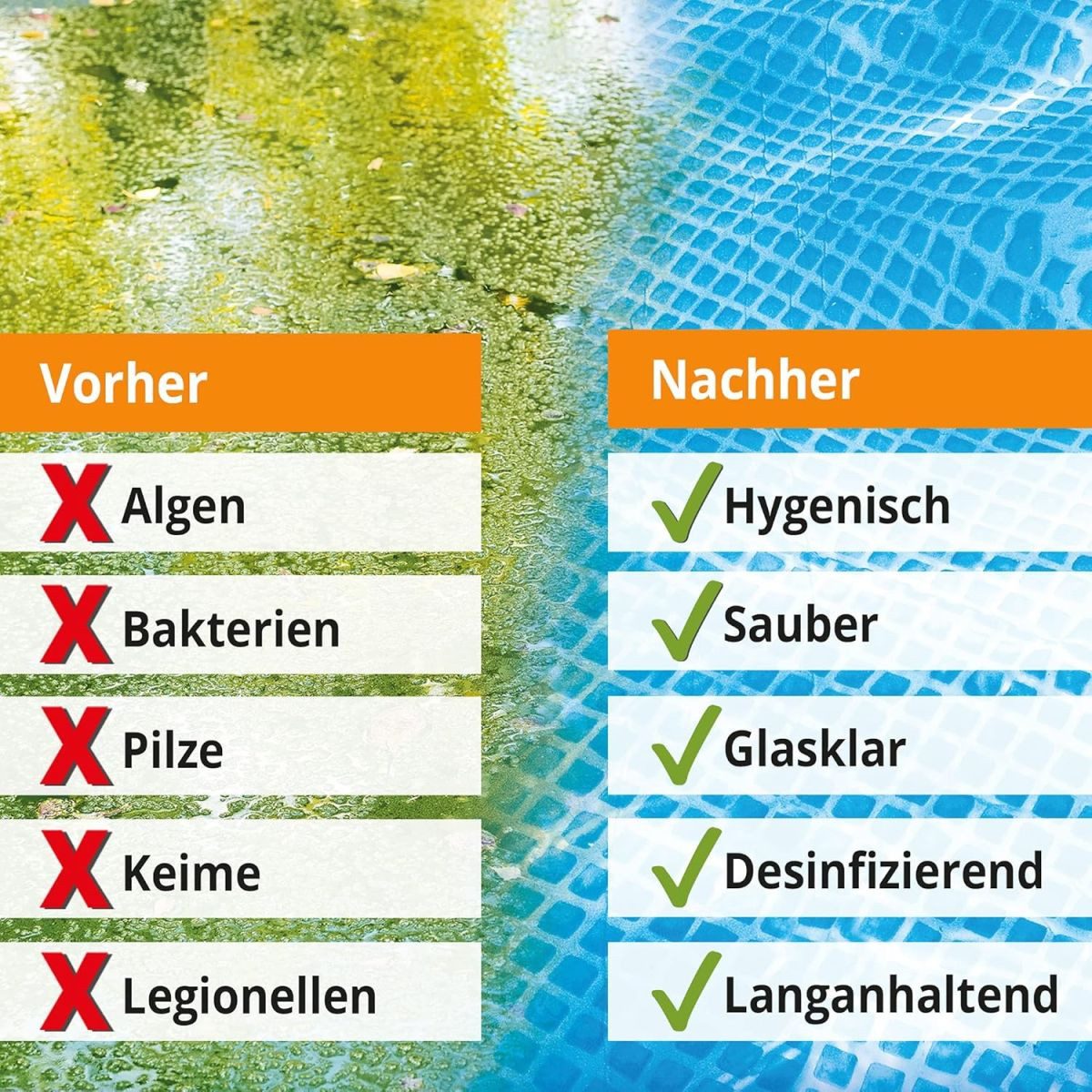 Zooprinz Poolpflege Starter Set 3-in-1, 2 Liter, Keimschutz Desinfektion Algenstopp, Verhindert Algenbildung, für klares Wasser, Made in Germany