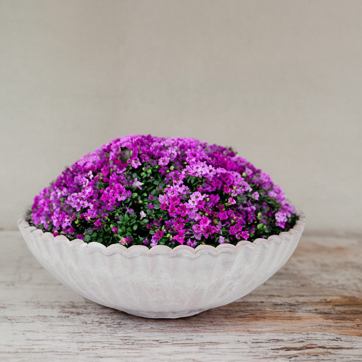 matches21 HOME & HOBBY Blumentopf Dekoschale runde Pflanzschale für draussen grau marmoriert 35 cm (1 St), Blumen-Schale als wetterfeste Friedhof-Schale Grab-Schmuck Grabschale