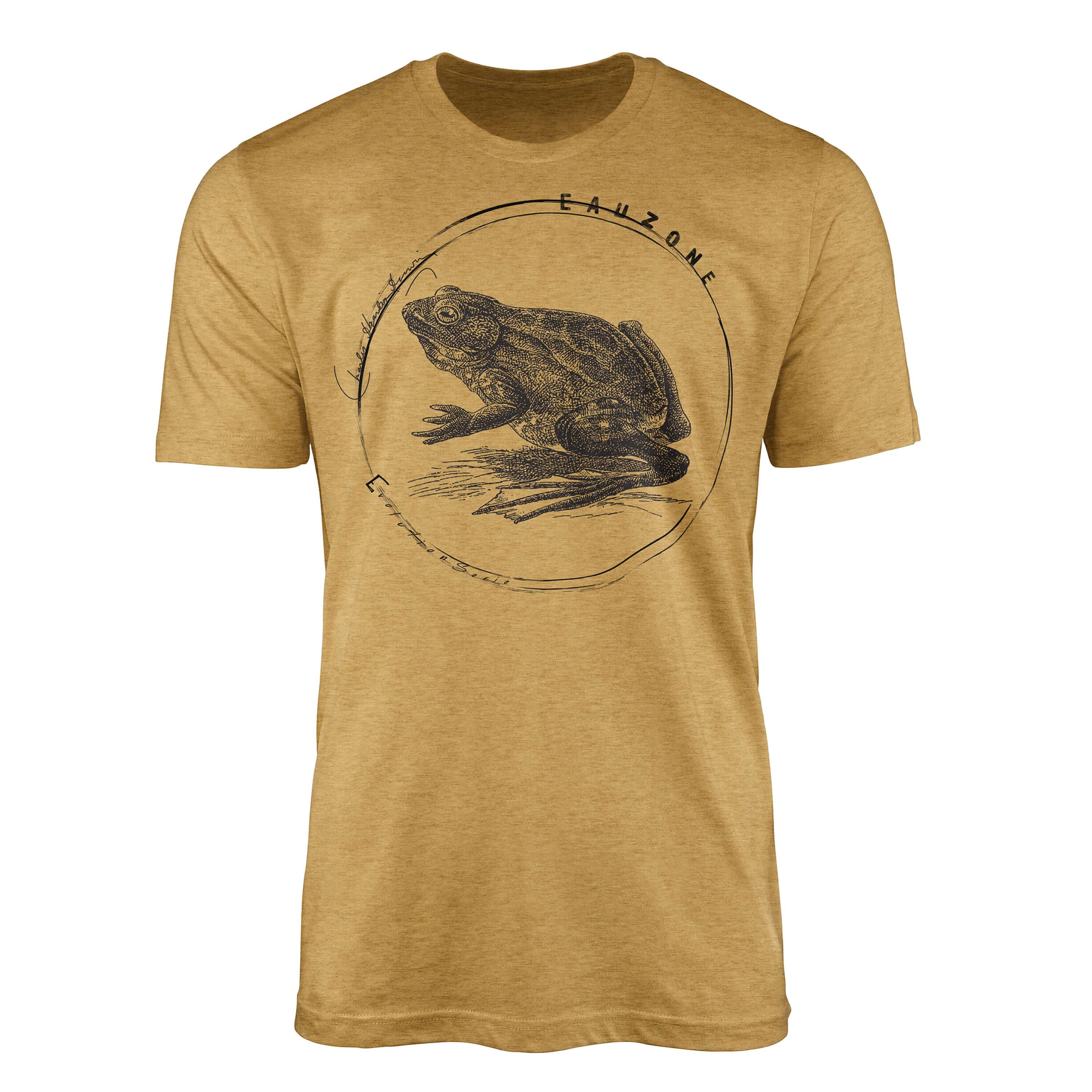 Sinus Art T-Shirt Evolution Herren T-Shirt Ochsenfrosch Antique Gold