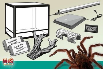 M&S Reptilien Terrarium Komplettset: Für Vogelspinnen und Skorpione (60 cm Länge)