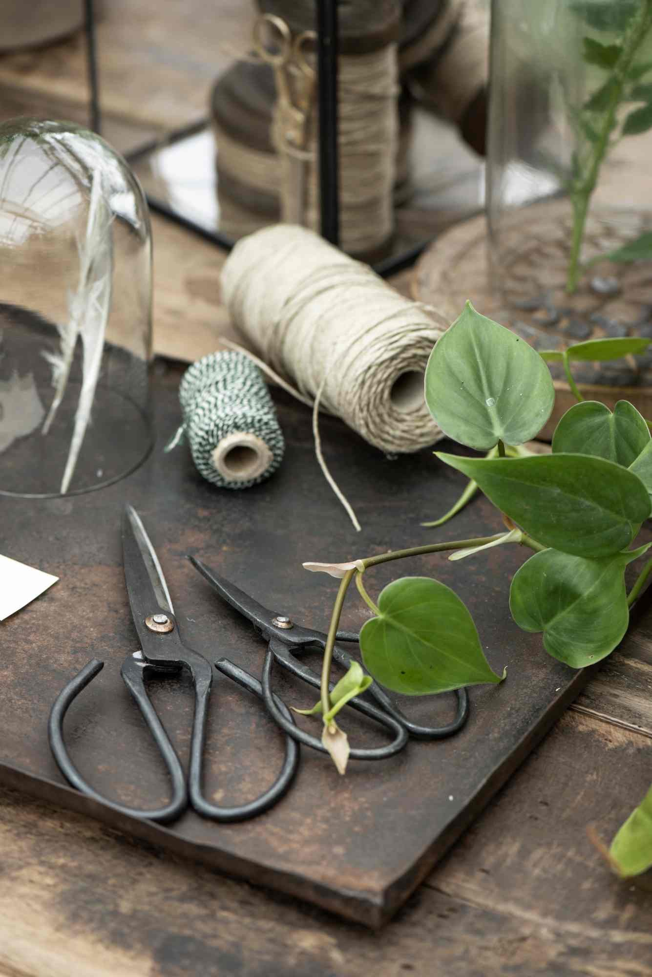 Ib Laursen Gartenpflege-Set IB Laursen Schere günstig online kaufen