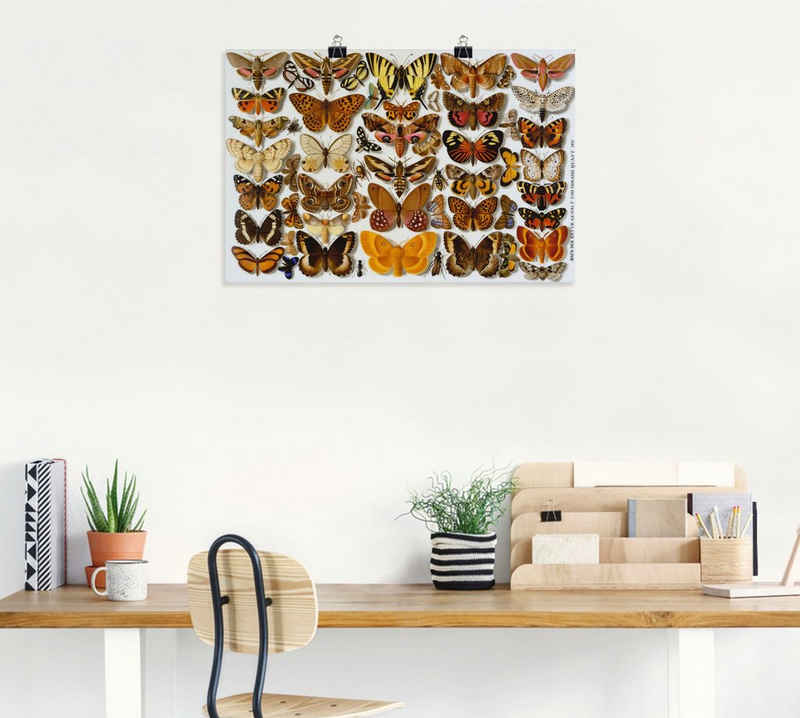 Artland Kunstdruck Schmetterlinge. Porzellanmalerei. 1881, Insekten (1 St), als Alubild, Leinwandbild, Wandaufkleber oder Poster in versch. Größen