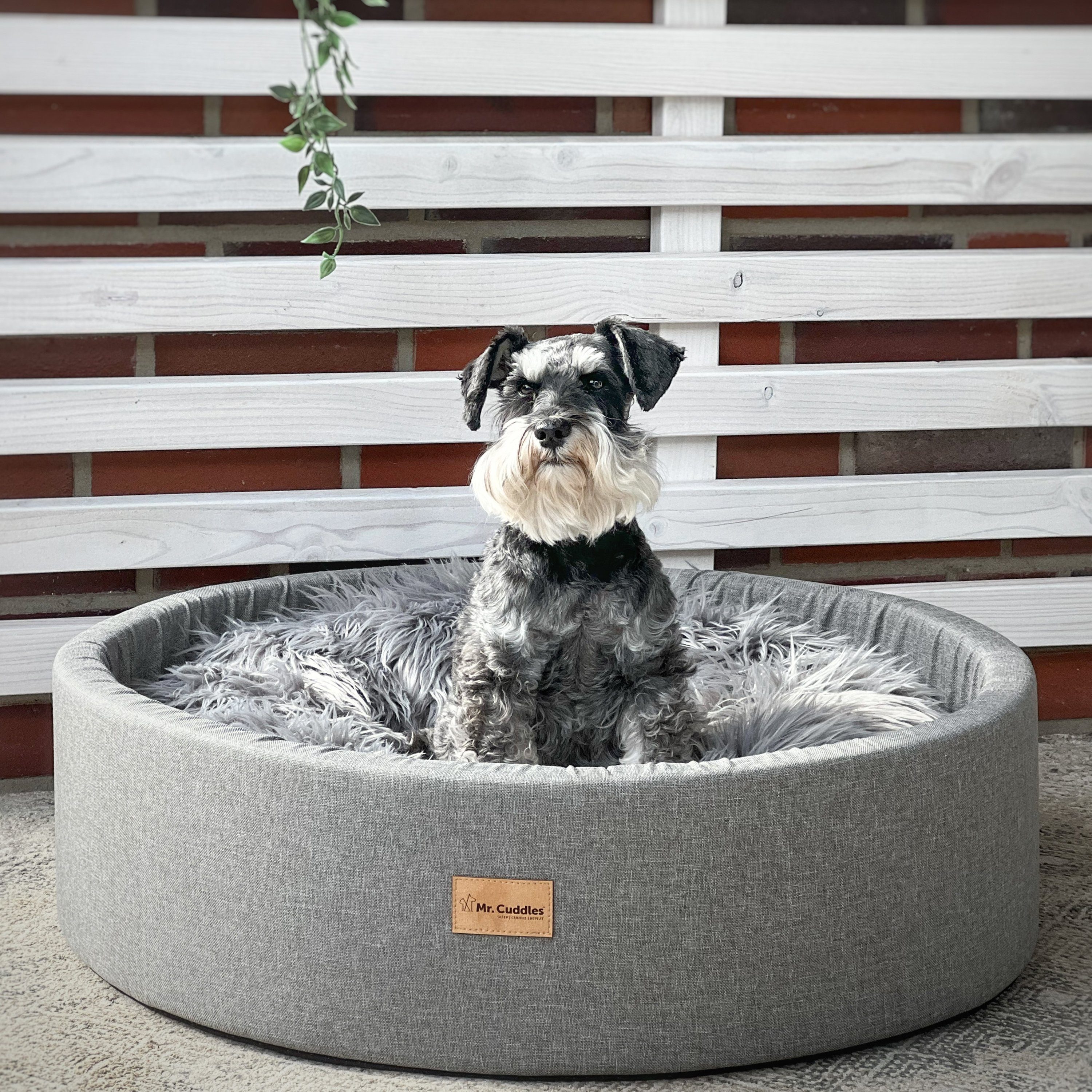 Mr. Cuddles Tierkorb Nala, Hundekorb für kleine Hunde 60x60x15cm Grau günstig online kaufen