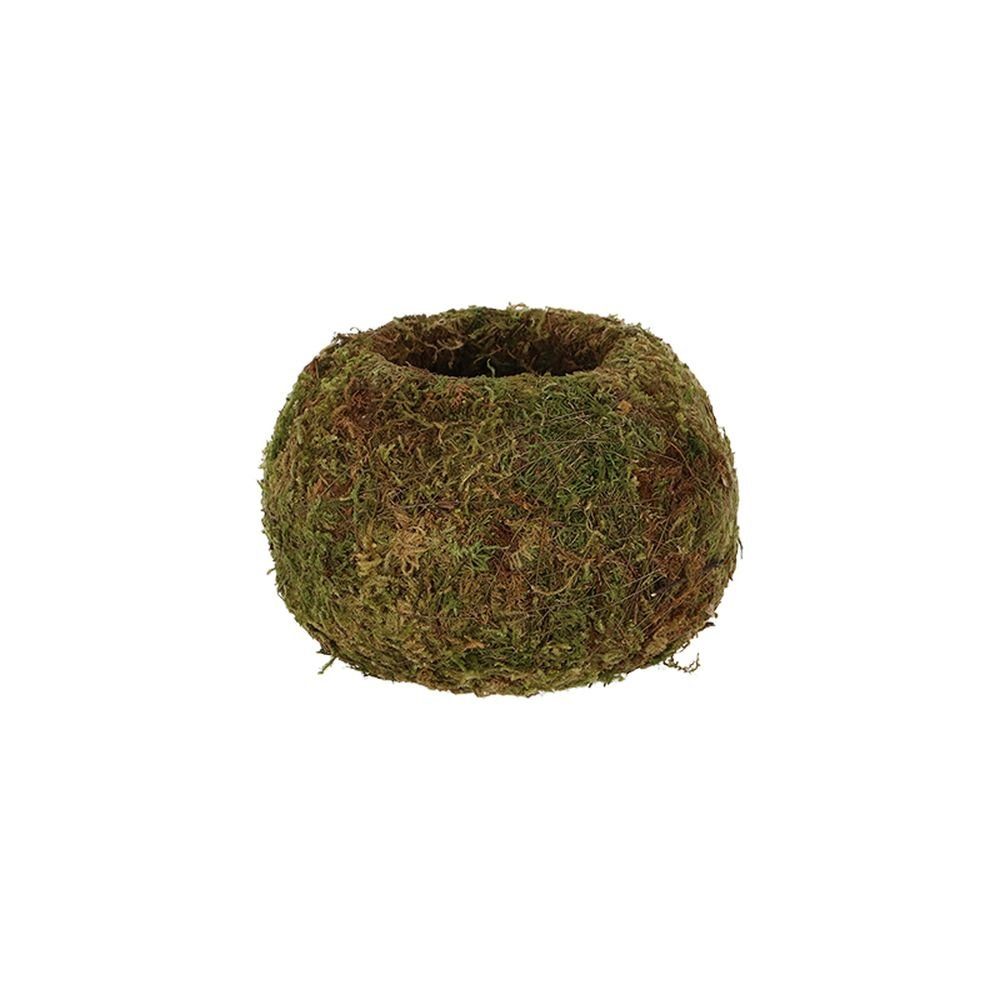 Rivanto Blumentopf (1 Kugel M, St), 14.5 10 Kokedama Moos Durchmesser x aus cm Größe