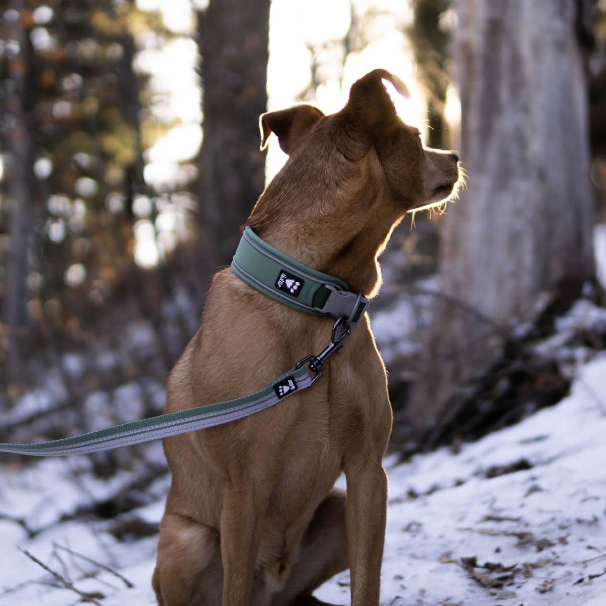 HURTTA Hunde-Halsband Weekend Warrior Halsband grün (Eco Edition)
