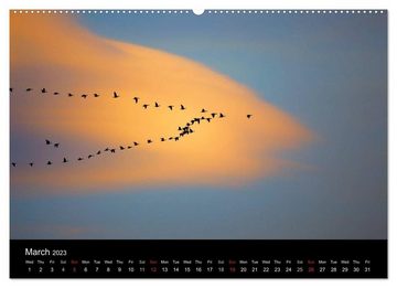CALVENDO Wandkalender The Pinkfoot Goose Collection (Premium-Calendar 2023 DIN A2 Landscape)