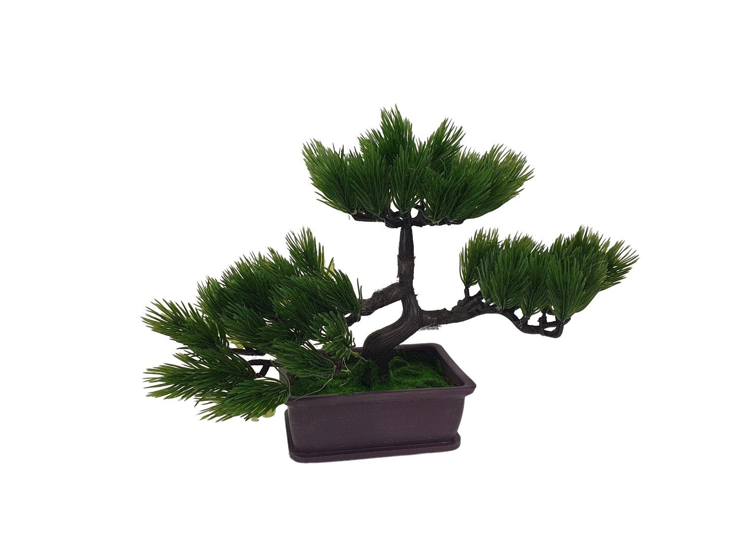 Kunstbonsai Künstlicher Bonsai Baum Höhe 21 sesua, cm im 21cm, Topf