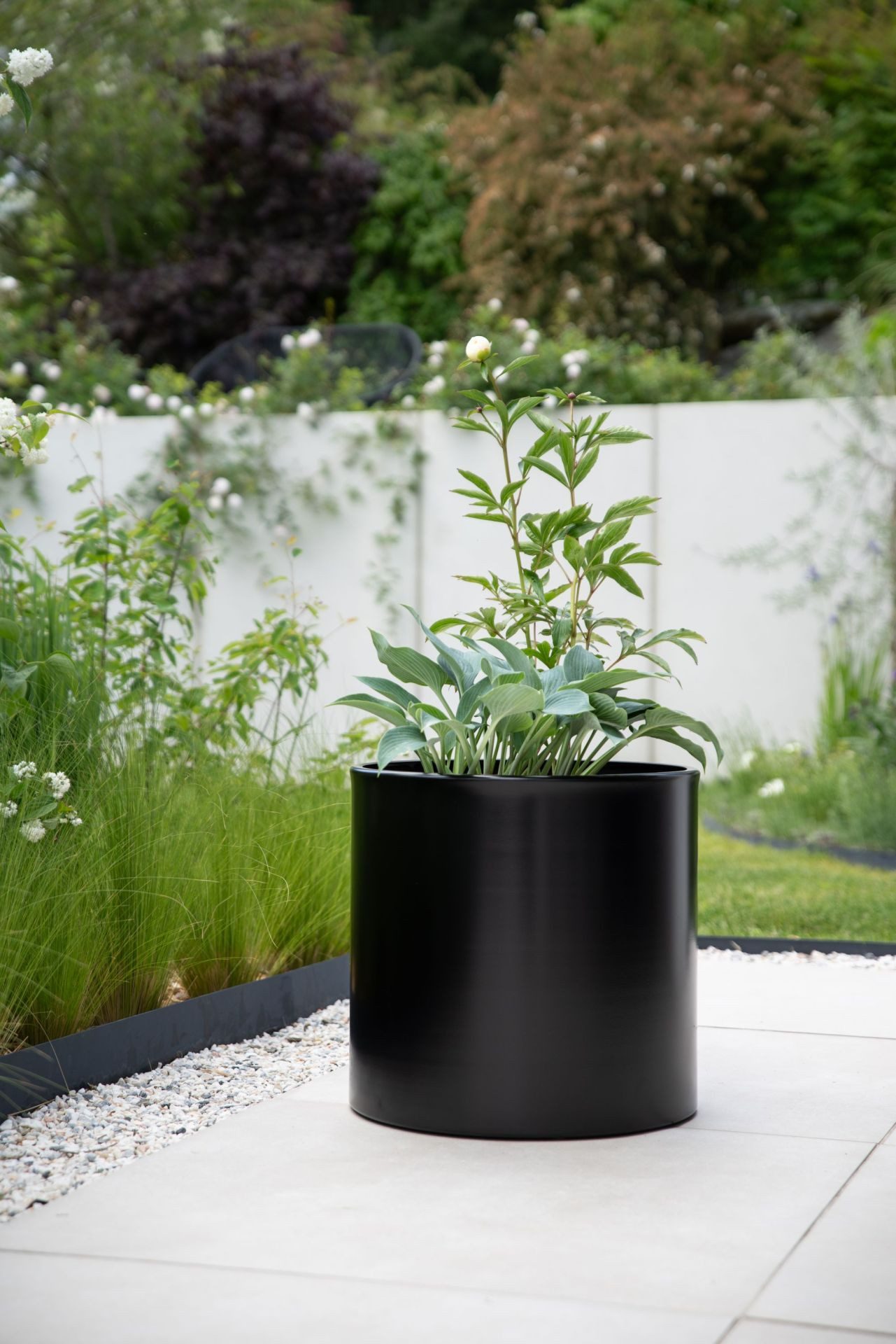 VIVANNO Blumentopf Aluminium NEW RONDO Rund - Schwarz Matt (1 St), 45x45 cm günstig online kaufen