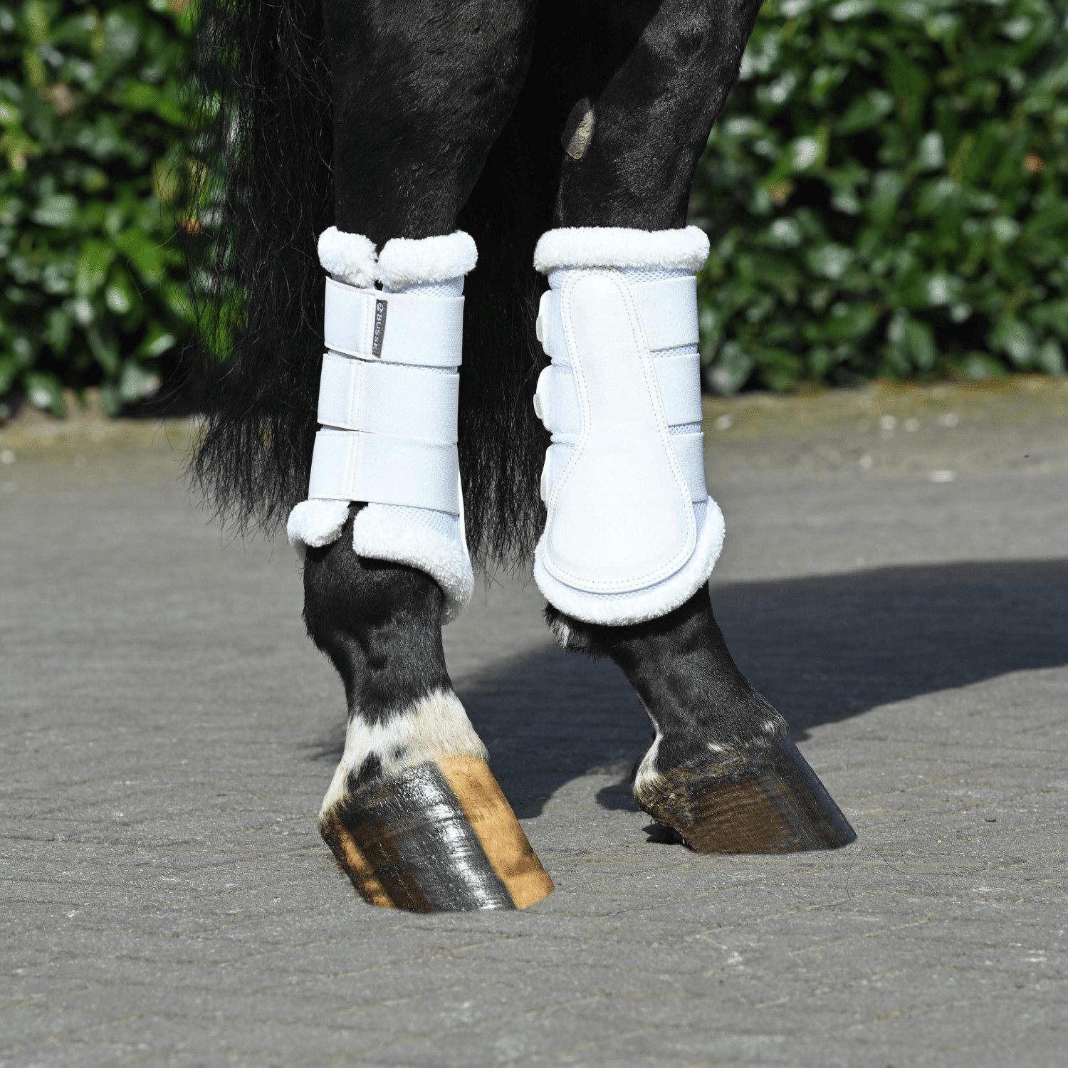 BUSSE Gamaschen Gamaschen Breezy Plush