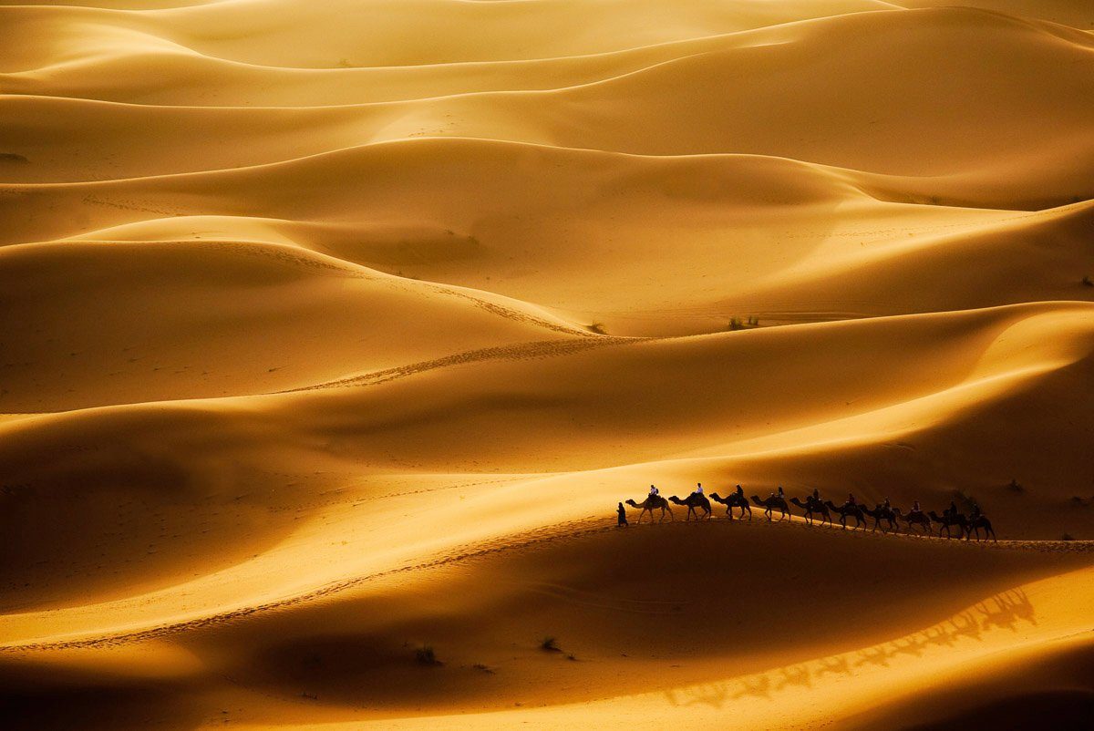 Wüste Fototapete Papermoon