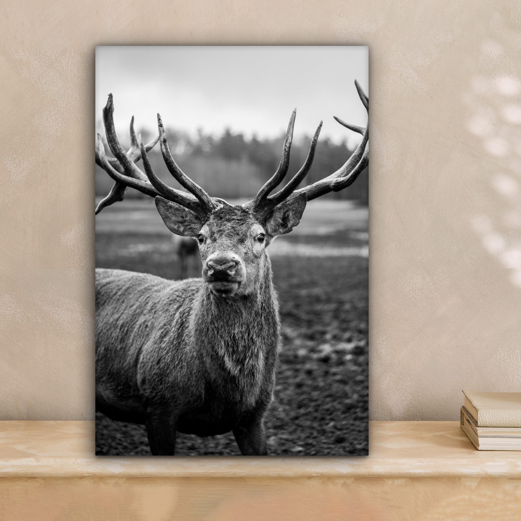 OneMillionCanvasses® Leinwandbild Tiere - Hirsch - Geweih - Schwarz und wei günstig online kaufen