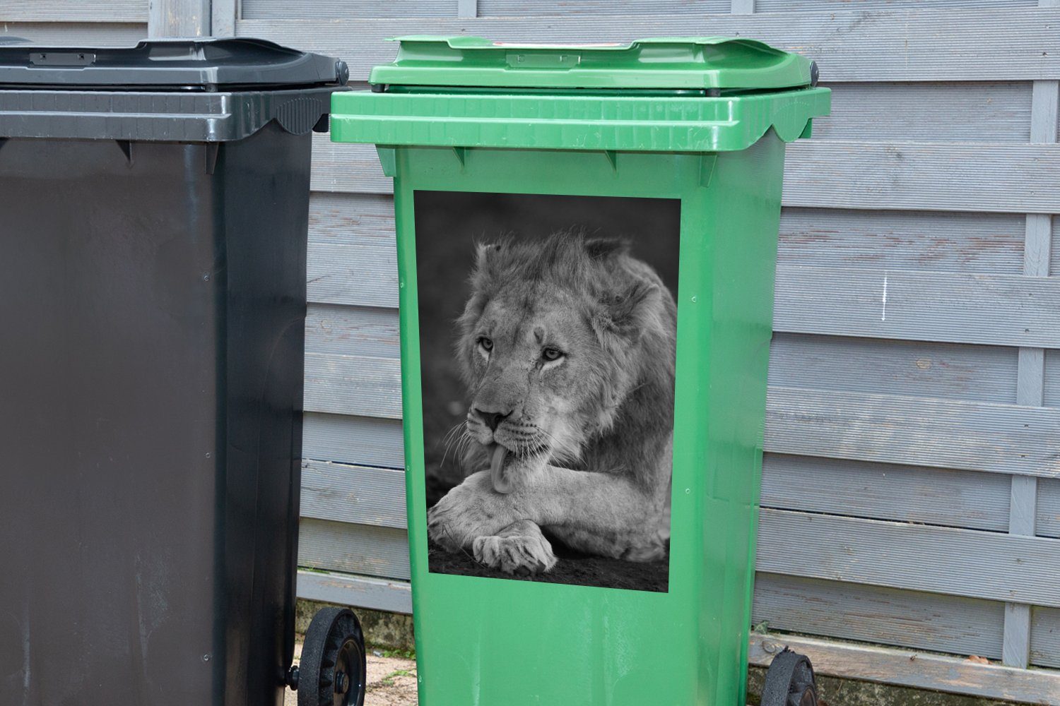 St), - MuchoWow (1 Schwarz Löwe Sticker, Mülleimer-aufkleber, Mülltonne, Abfalbehälter Wild - Wandsticker Container,