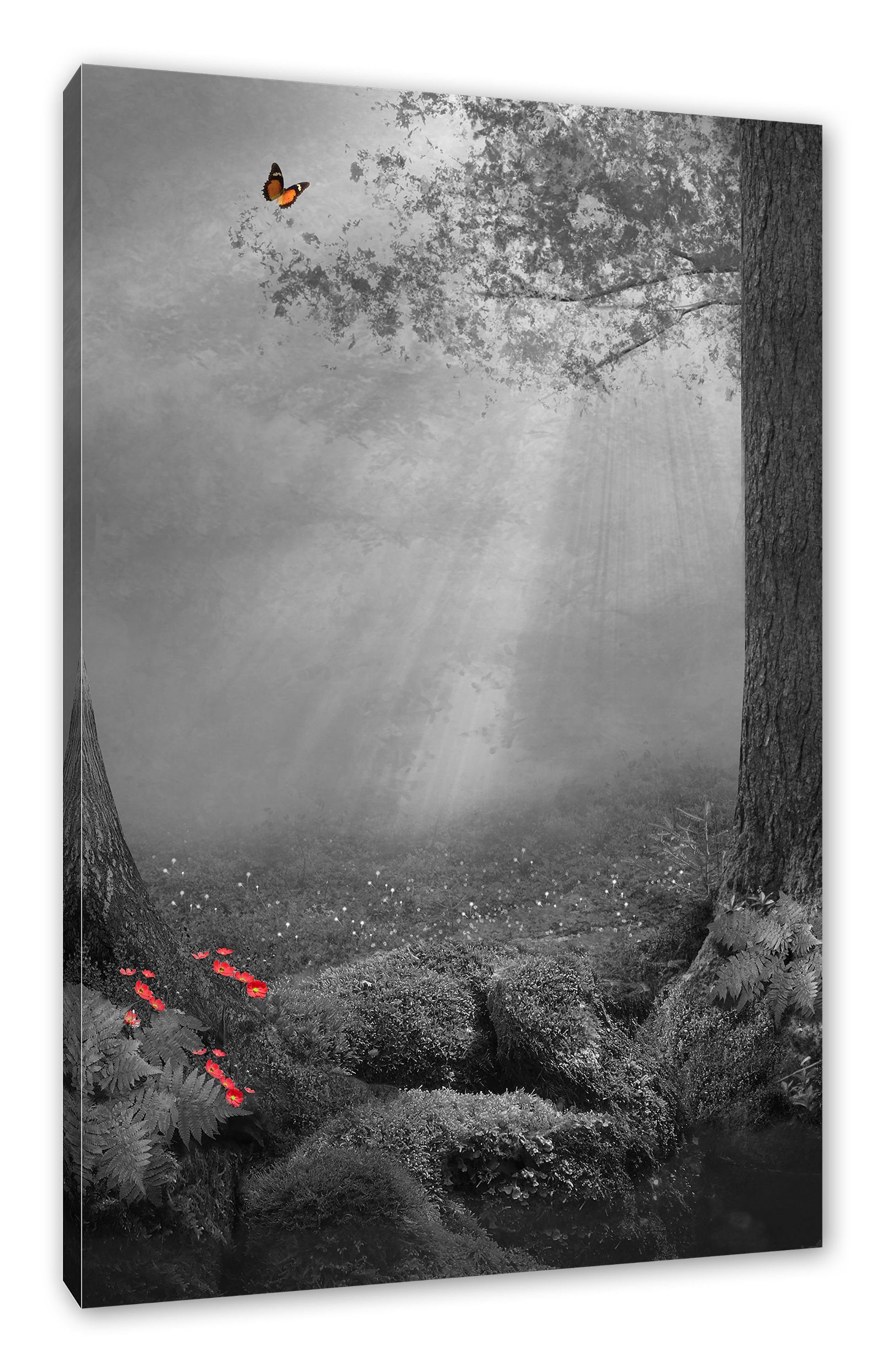 Pixxprint Leinwandbild Märchenwald mit Schmetterling, Märchenwald mit Schmetterling (1 St), Leinwandbild fertig bespannt, inkl. Zackenaufhänger