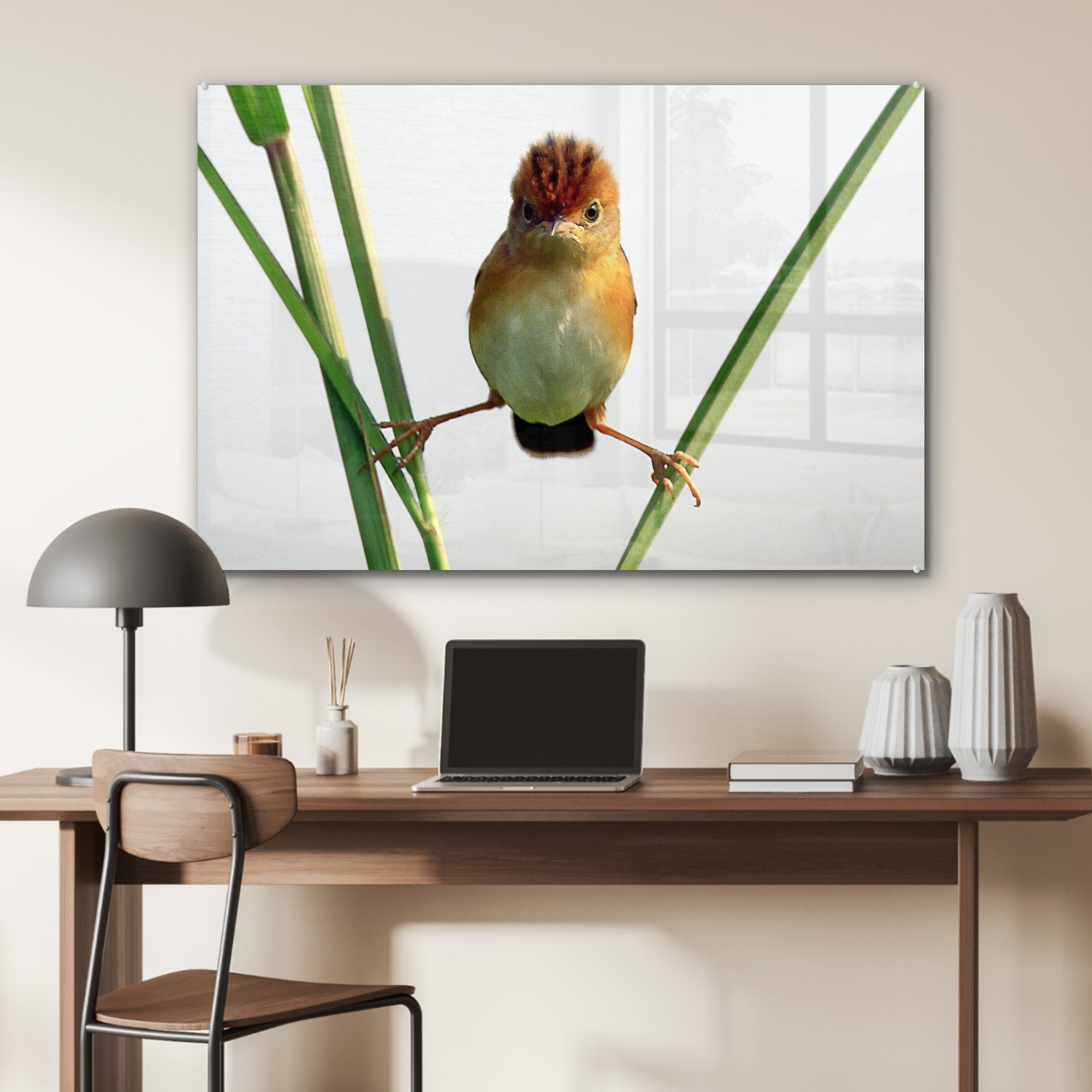 MuchoWow Acrylglasbild Vogel - St), Natur (1 Wohnzimmer Schlafzimmer Tiere, & - Acrylglasbilder