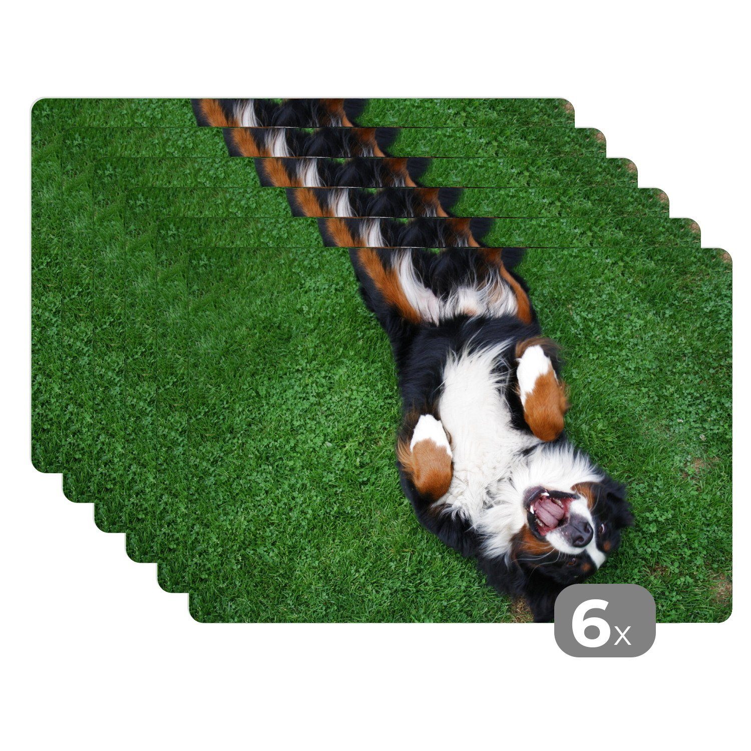 Platzset, Berner Sennenhund im Gras liegend, MuchoWow, (6-St), Platzset, Platzdecken, Platzmatte, Tischmatten, Schmutzabweisend