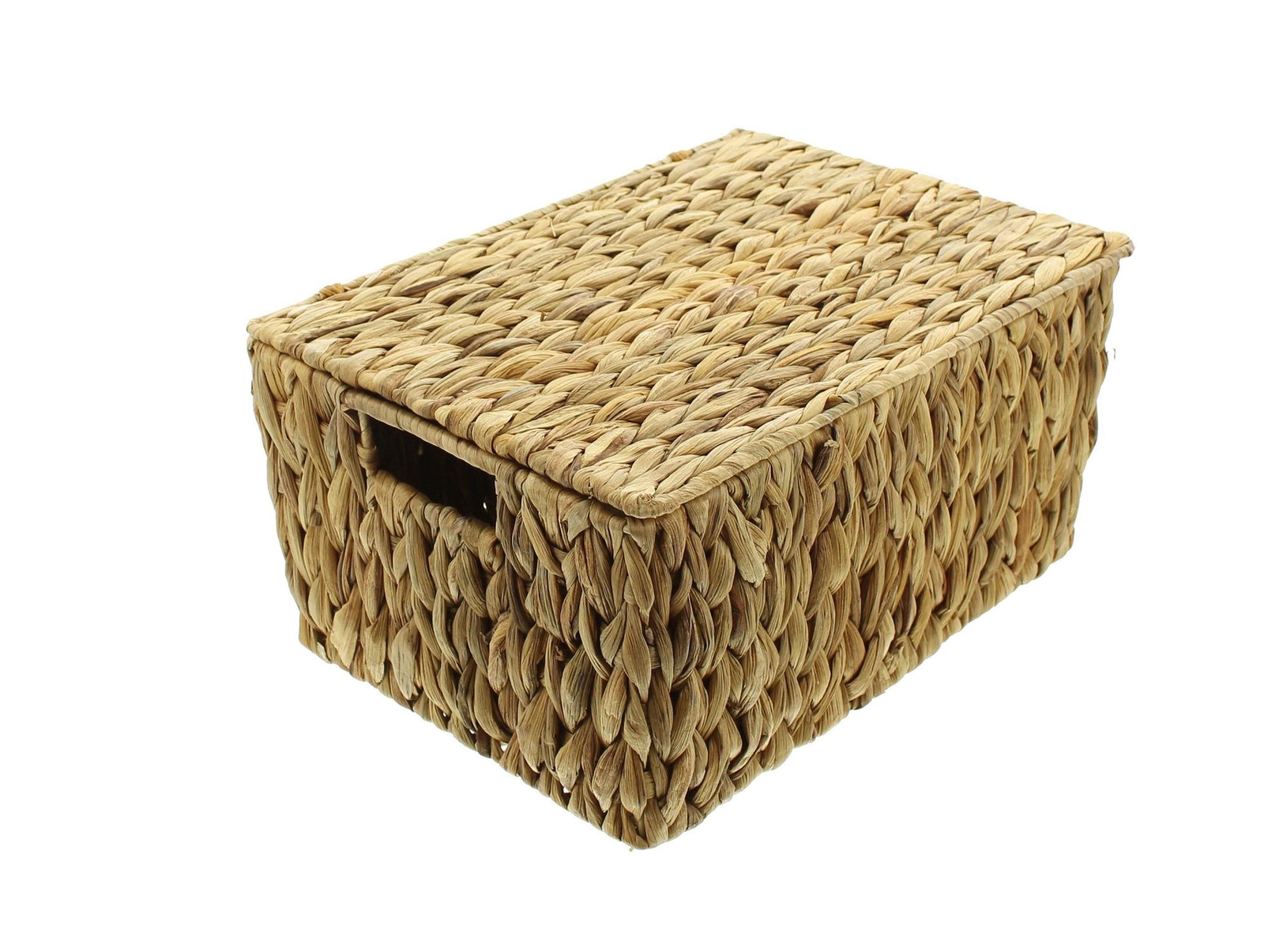 Frank Flechtwaren Truhe Universaltruhe groß Wasserhyazinthe – Wäschetruhe