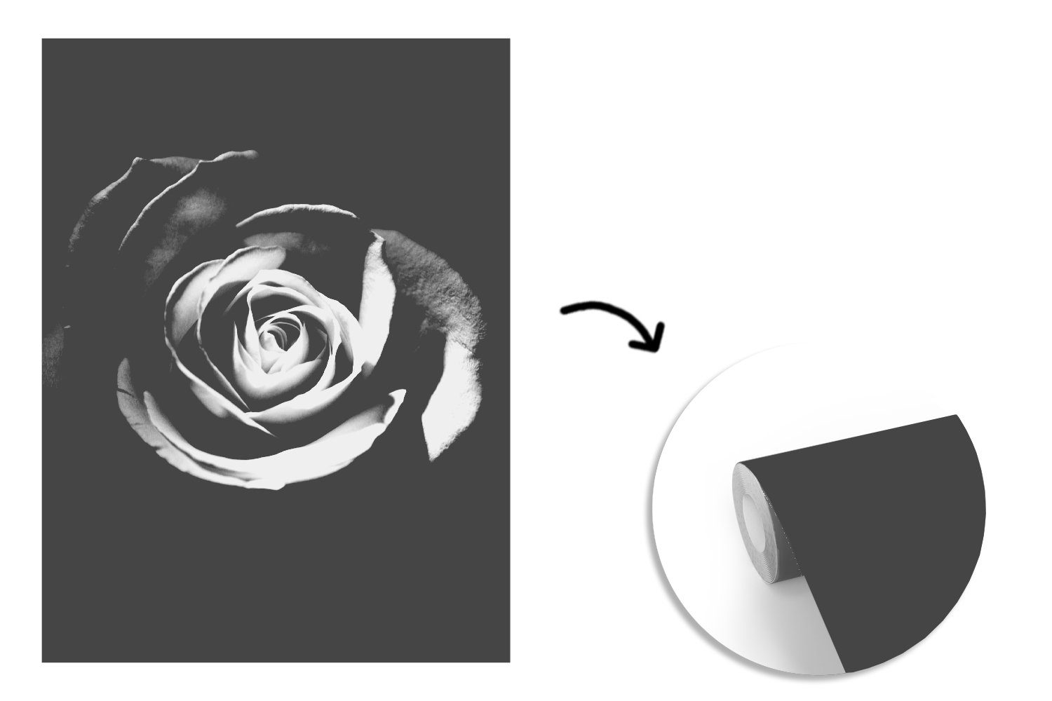 MuchoWow Fototapete - (4 - Montagefertig Matt, Rose - Botanisch, Wohnzimmer, Vinyl Weiß Schwarz - Blumen Wandtapete für St), Tapete bedruckt