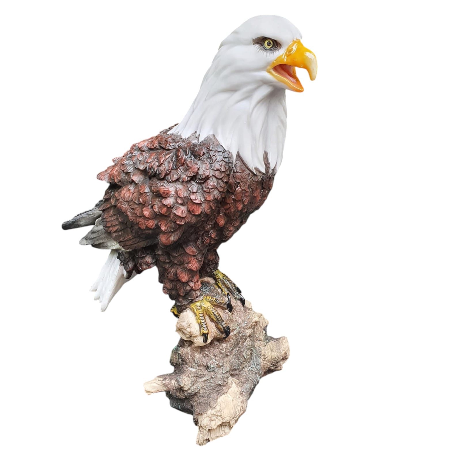Aspinaworld Gartenfigur Weißkopfseeadler Figur mit offenem Schnabel 33 cm, für den Garten