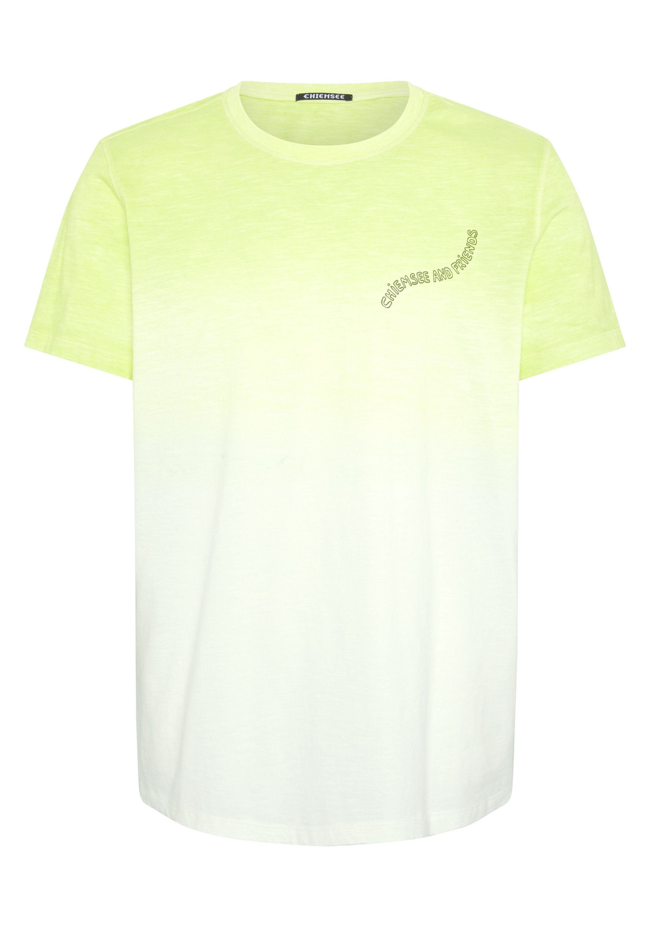 Chiemsee Print-Shirt T-Shirt im Farbverlauf mit Slub-Yarn-Textur 1 6268 Light Green/Dark Green