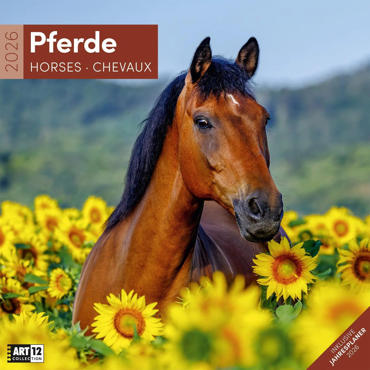 Ackermann Wandkalender Pferde Broschürenkalender 2026 - 30x30 - Art12