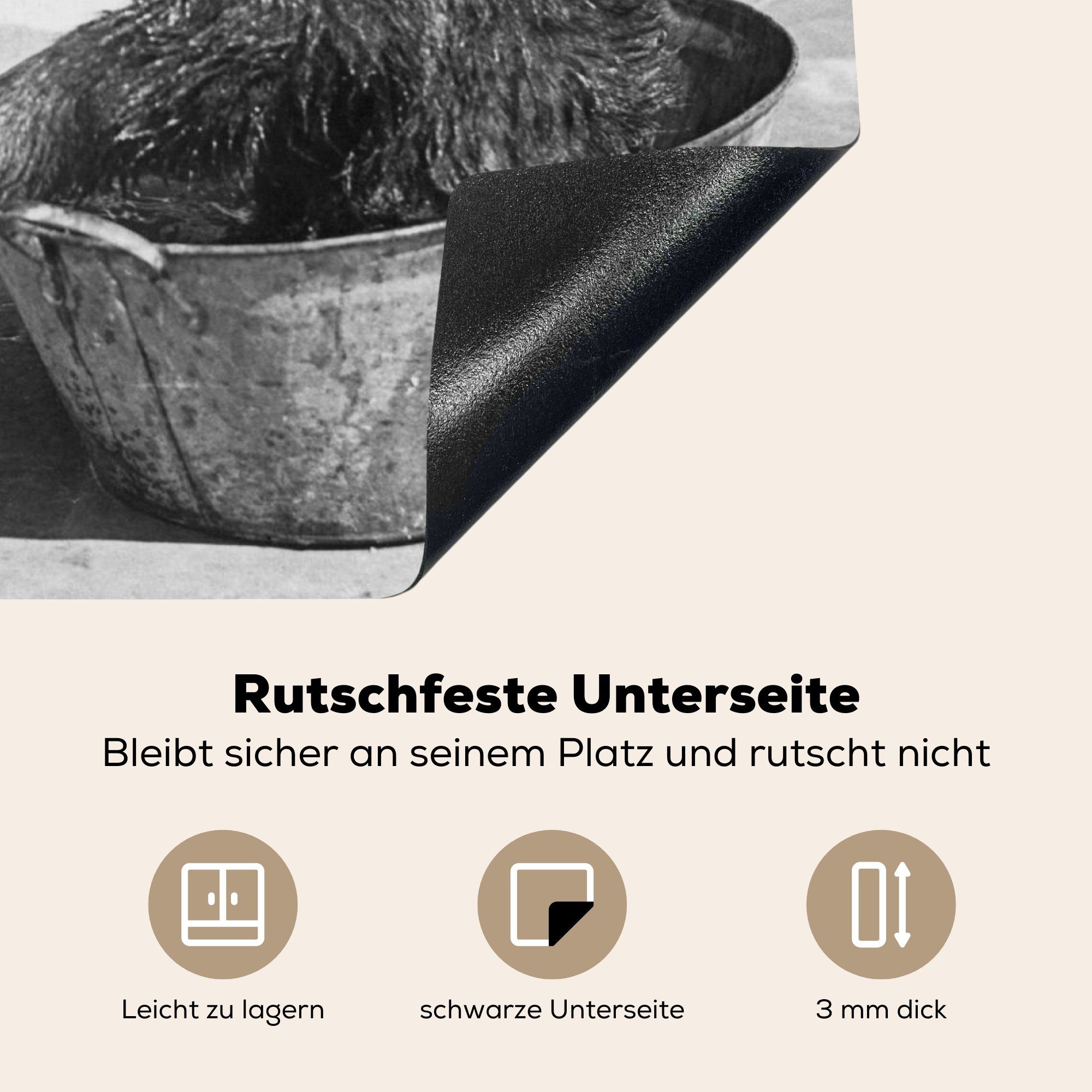 cm, 70x52 Arbeitsfläche tlg), Herdblende-/Abdeckplatte Schwarz Mobile Bären MuchoWow Ceranfeldabdeckung herumtollende und Vinyl, Weiß, Zwei in nutzbar, (1