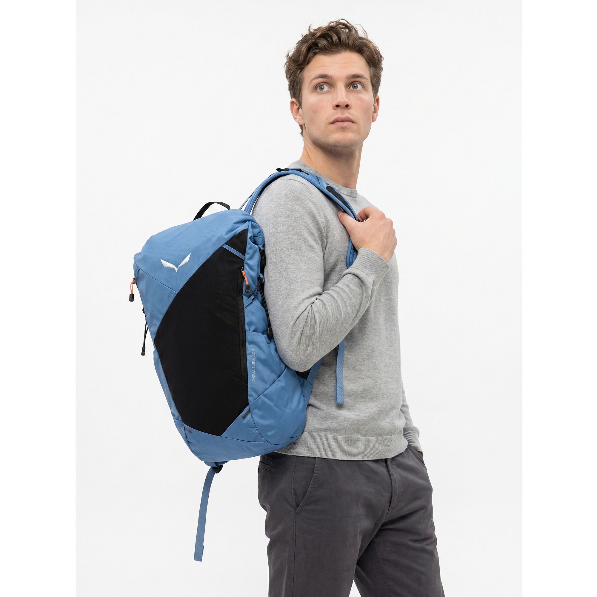 Salewa Wanderrucksack Pedroc Core, Nylon